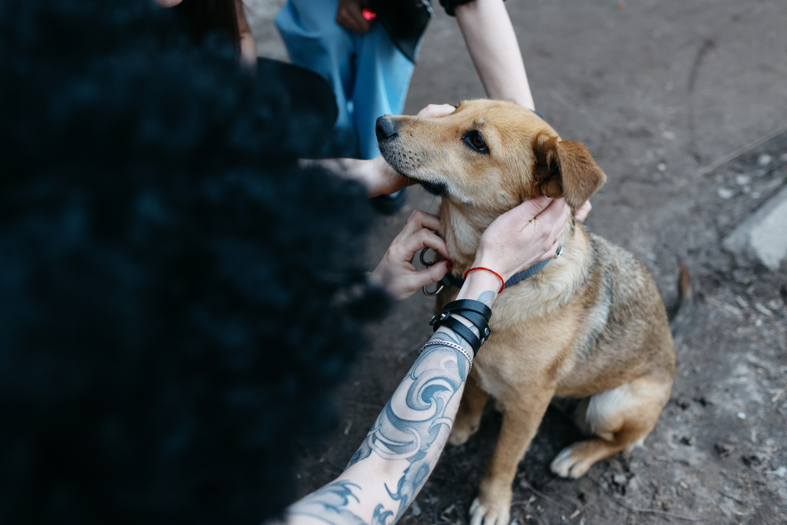 День рождения Юлия!. Свадебный фотограф Полина Мишуринская