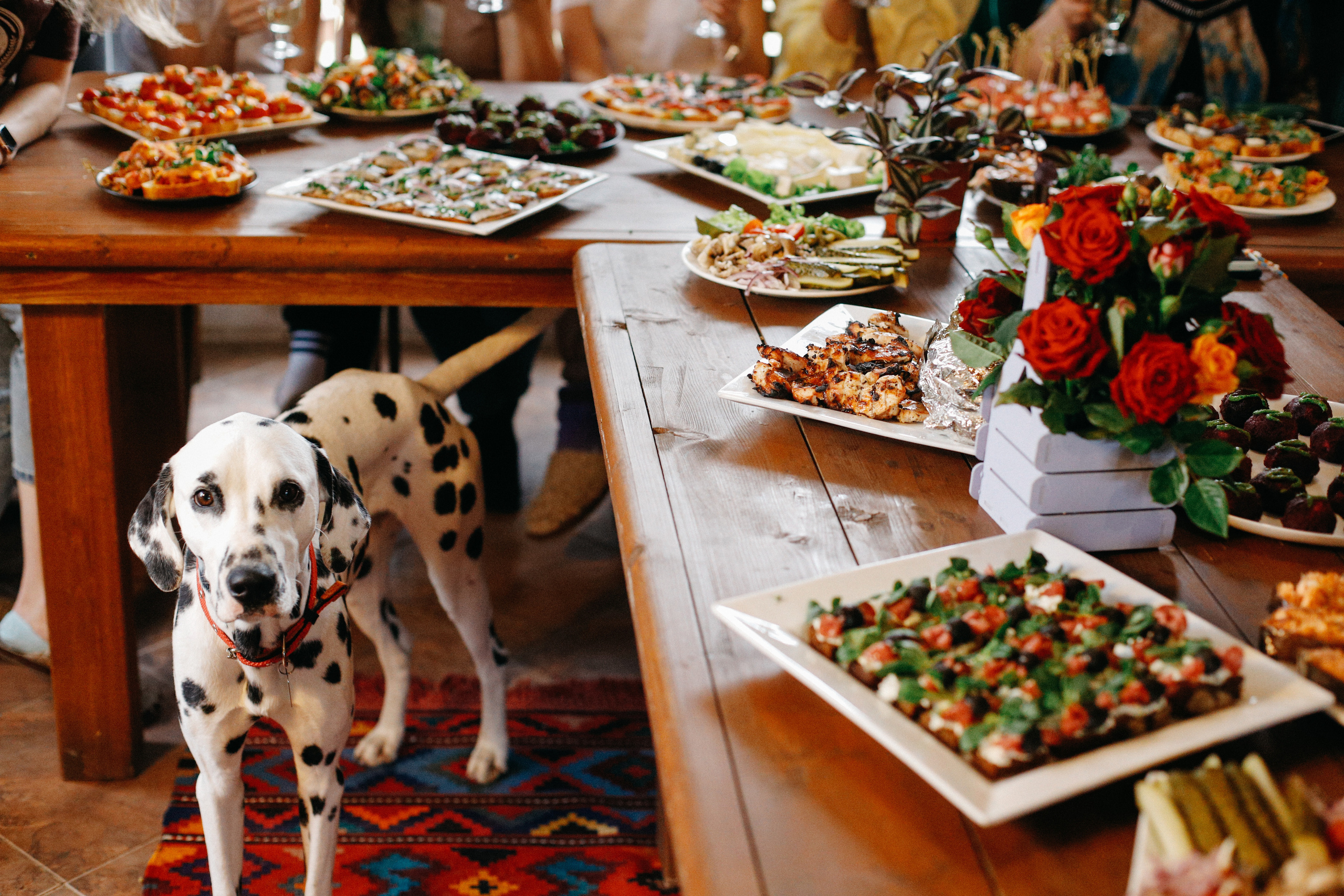 Вечерний ужин!. Свадебный фотограф Полина Мишуринская
