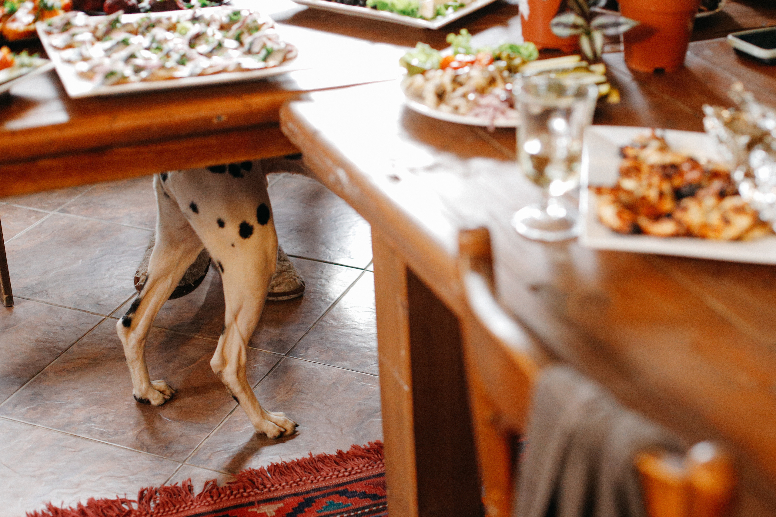 Вечерний ужин!. Свадебный фотограф Полина Мишуринская