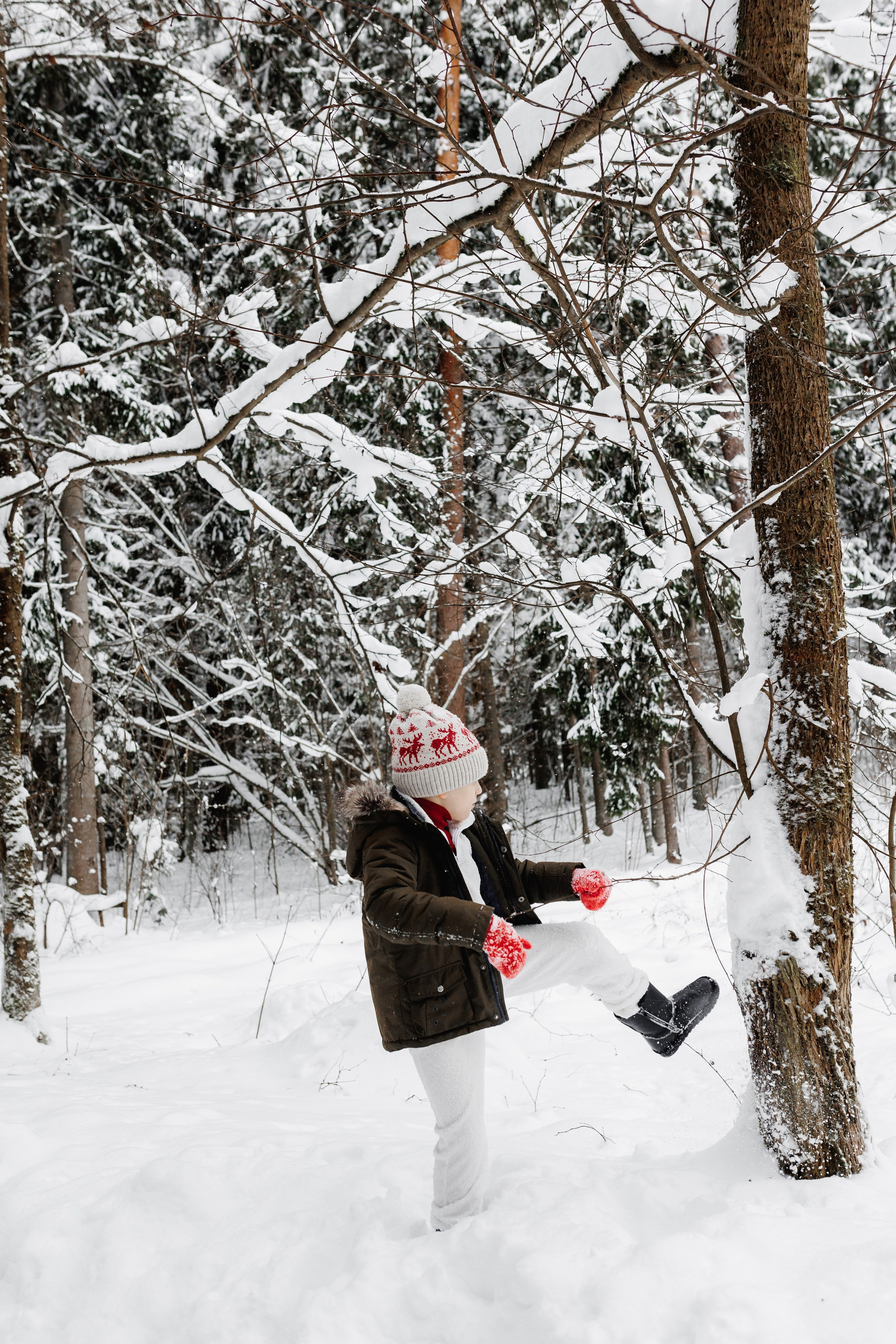 Зимняя фотосессия в лесу. Свадебный и семейный фотограф Витебск, Минск, Андрей Павлов
