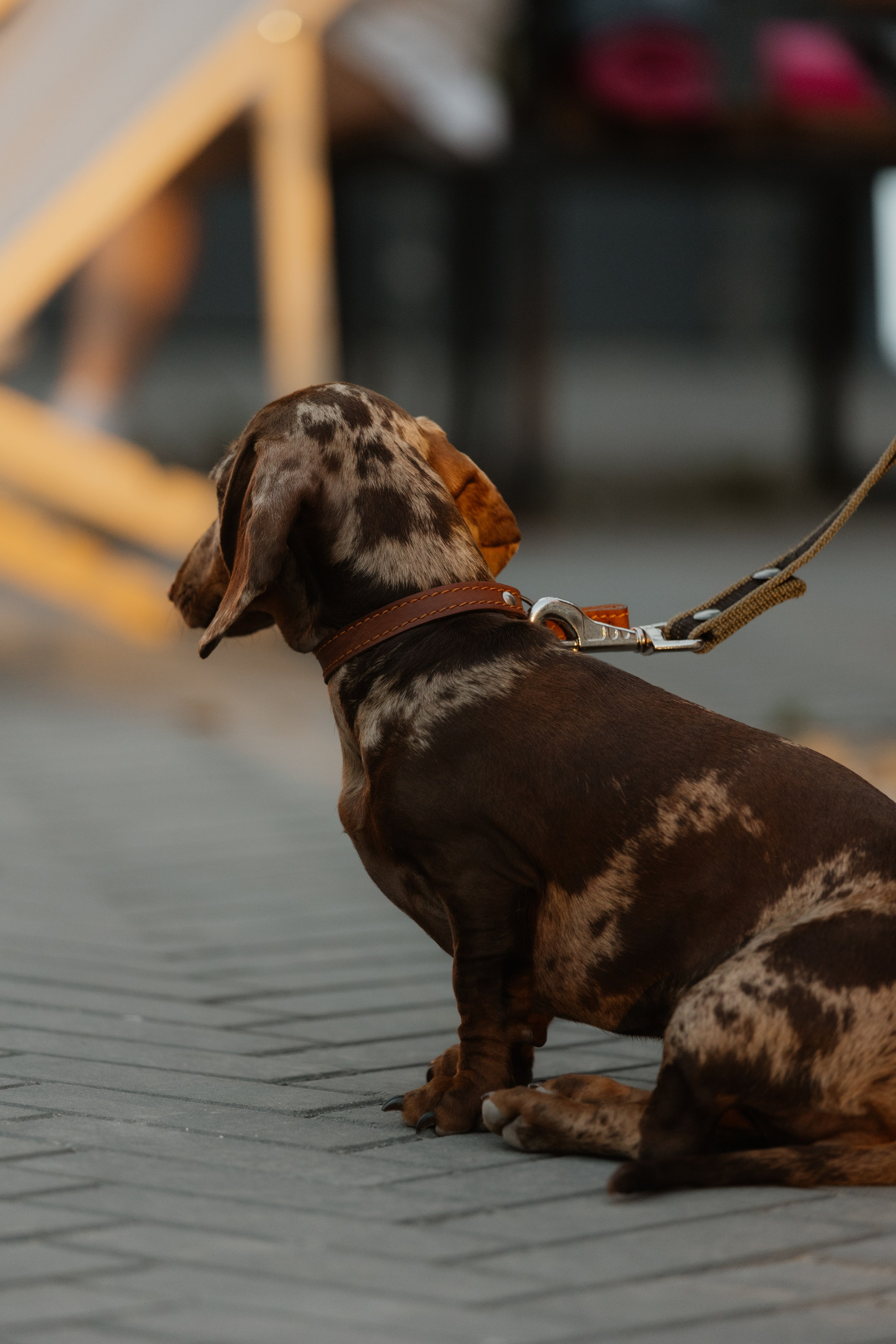 TYCA — Смоленск — 30.08.2025. KiPPER Gallery — Фотограф