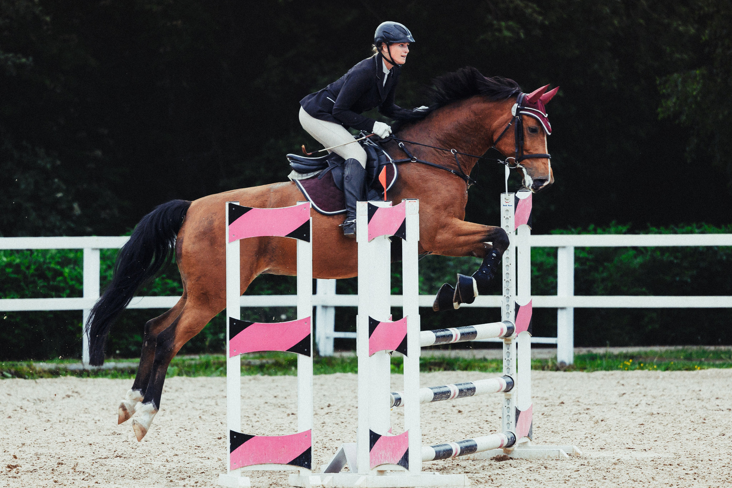 Соревнования. Спортивный фотограф Санкт-Петербург