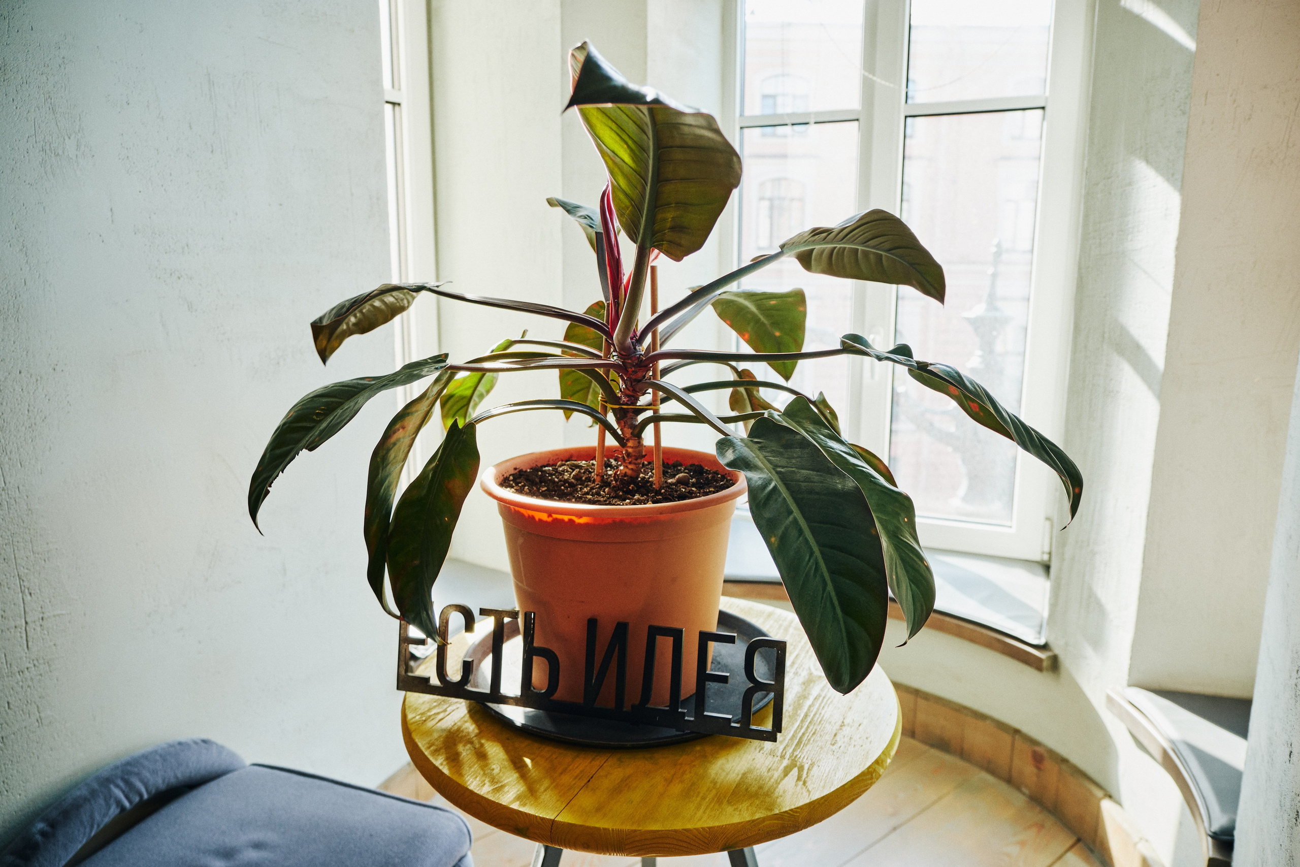 Репортажная съемка Тотального диктанта. Семейные и свадебные фотосессии в СПб, в студии, на улице, на природе