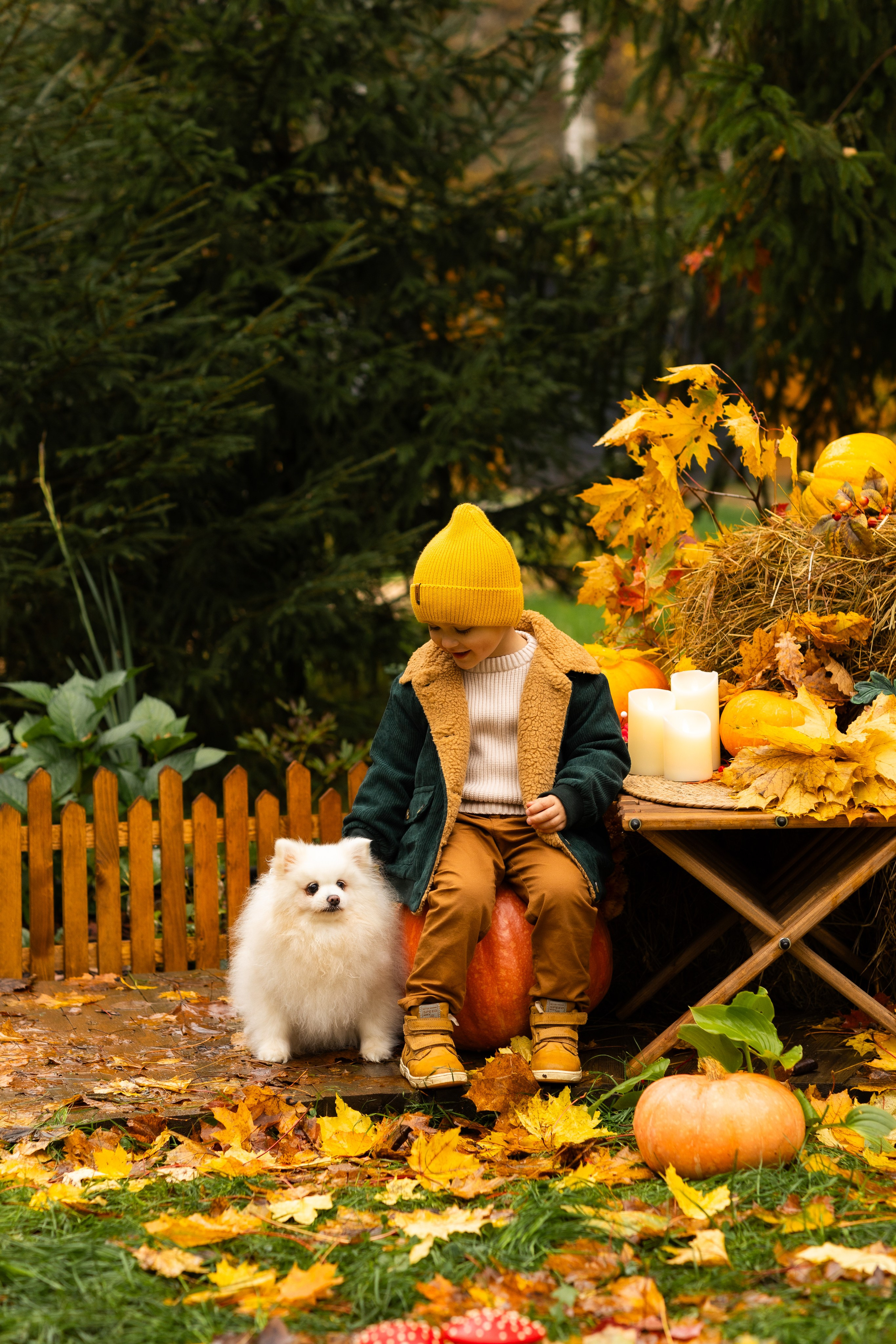 Осень. Профессиональный ретушер Москва и весь мир — Елена Тимченко