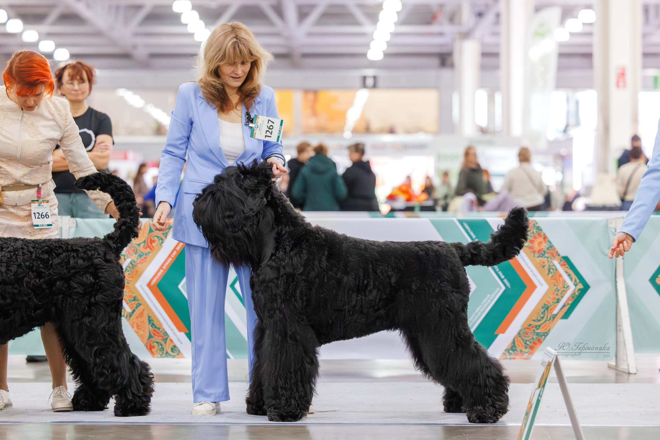 Евразия 15-16.11.2025. Фотограф-анималист Юлия Германика