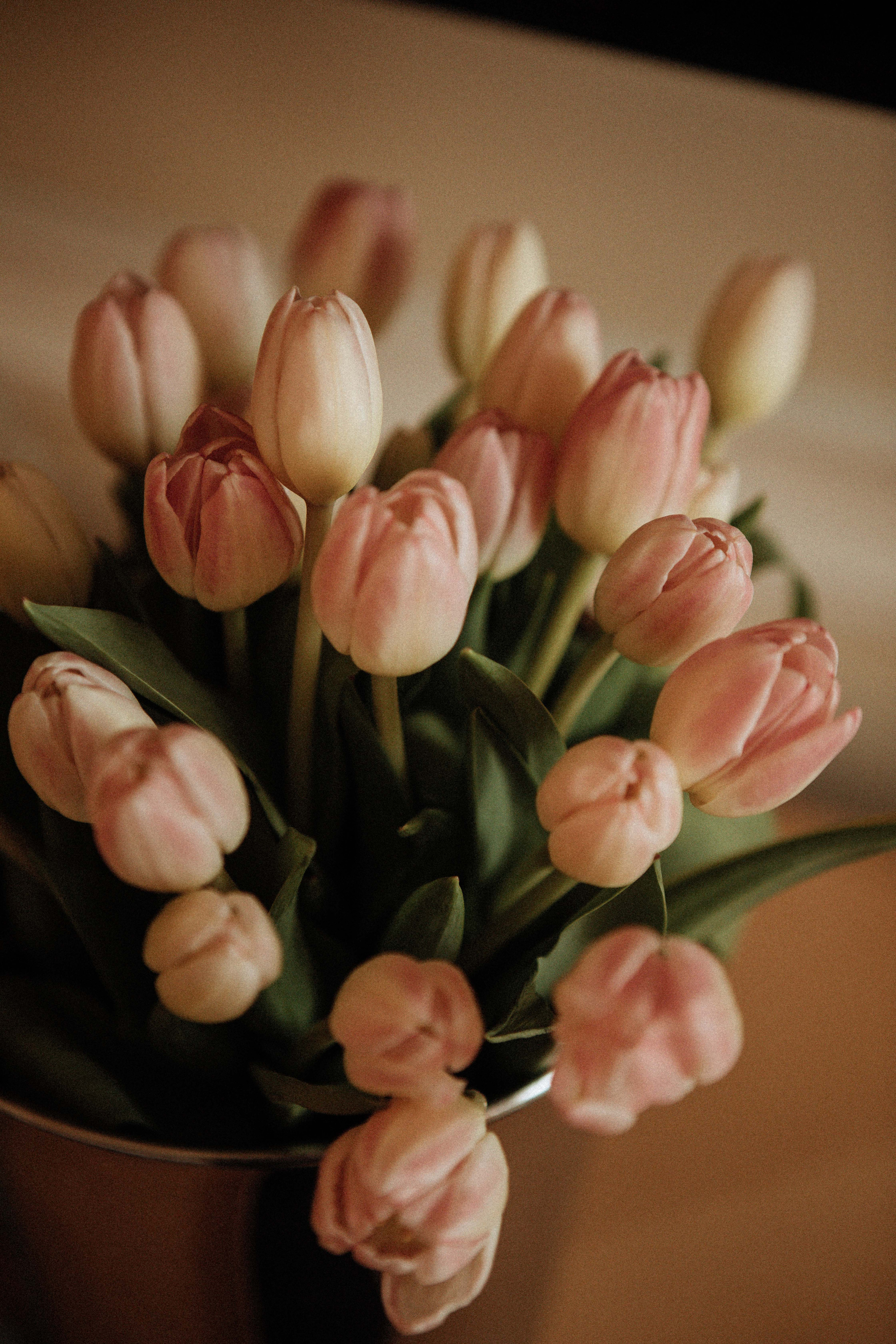 Саша и Вася. Утро в Балчуге и Роспись в Загсе. Свадебный и портретный фотограф в Москве Анастасия Масюк