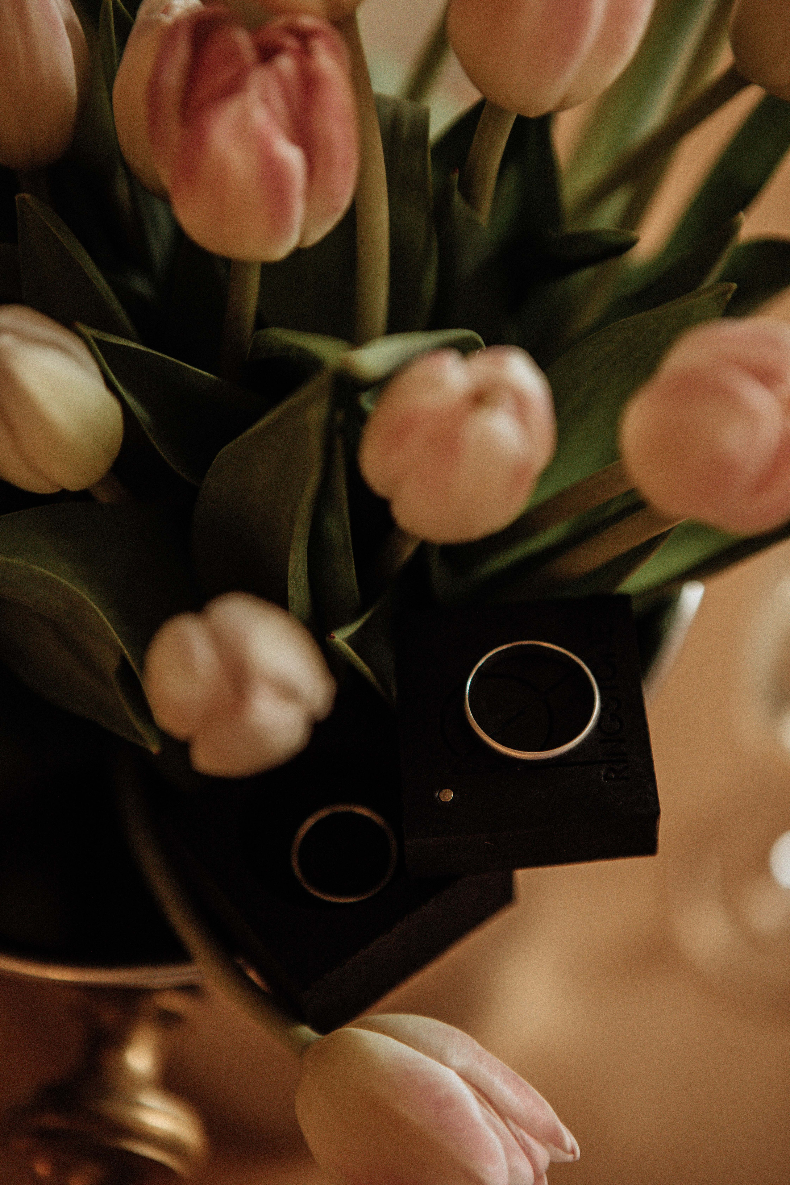 Саша и Вася. Утро в Балчуге и Роспись в Загсе. Свадебный и портретный фотограф в Москве Анастасия Масюк