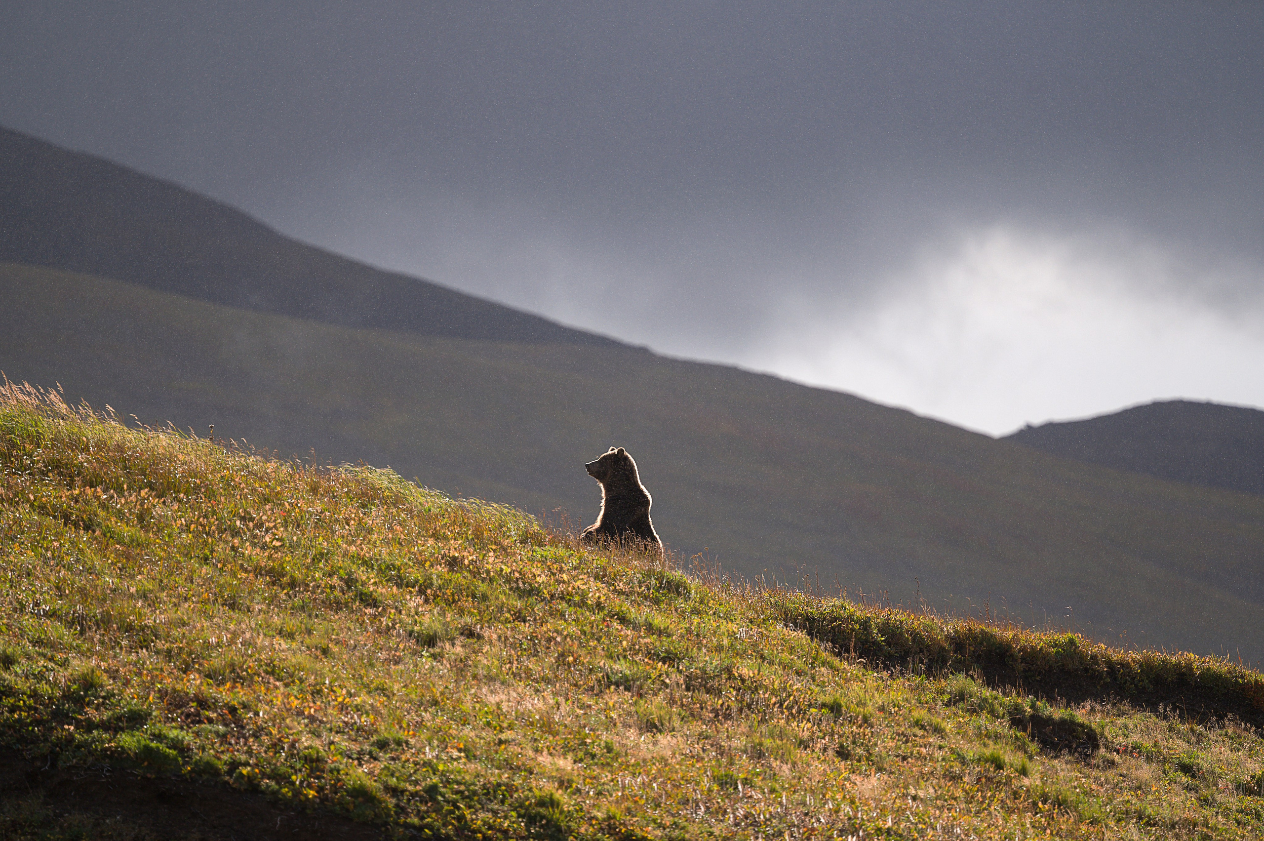 Камчатка. Портретный фотограф в Челябинске Катерина Руди