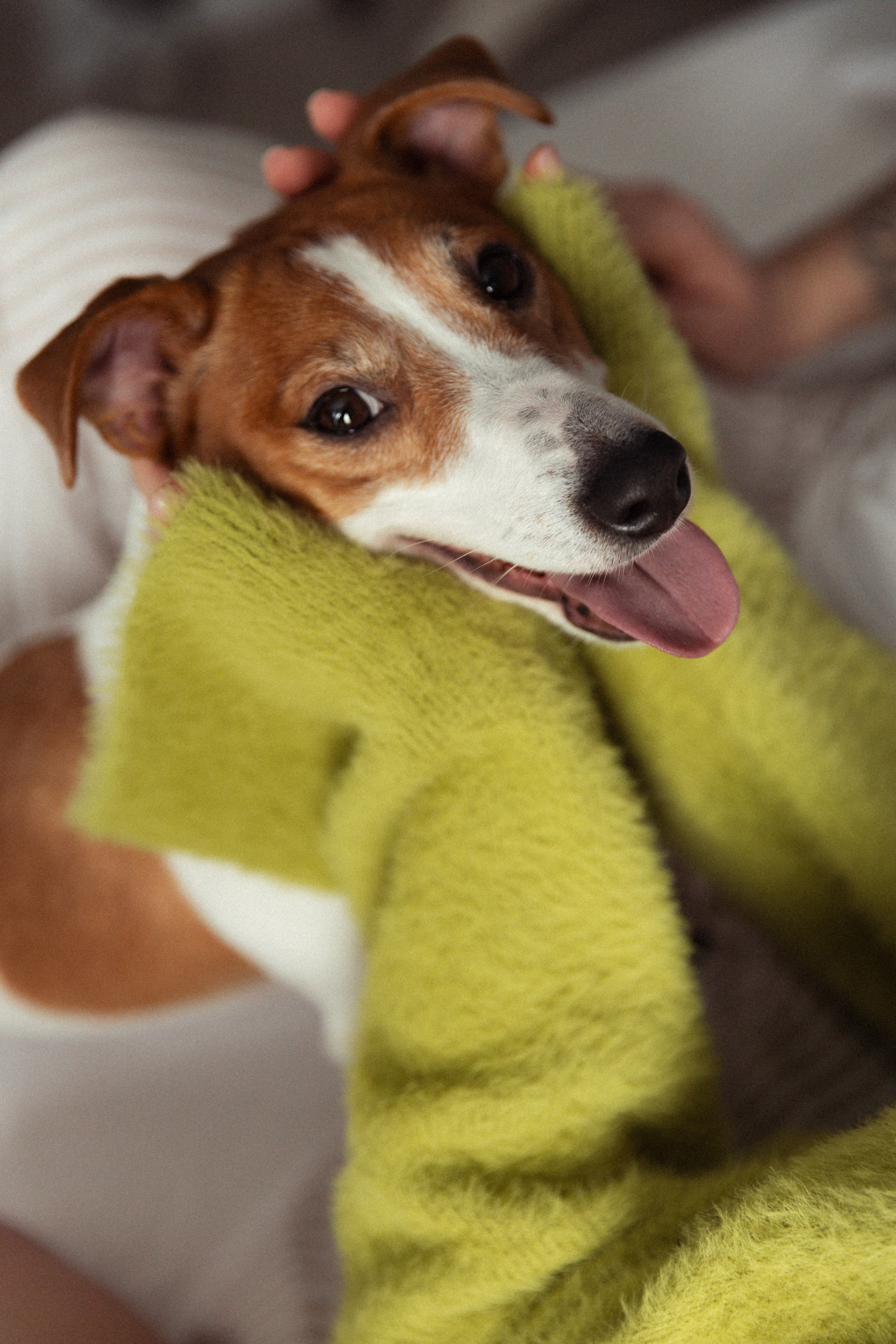 Арина и Илья. Фотограф в Нижнем Новгороде Воробьева Анжела
