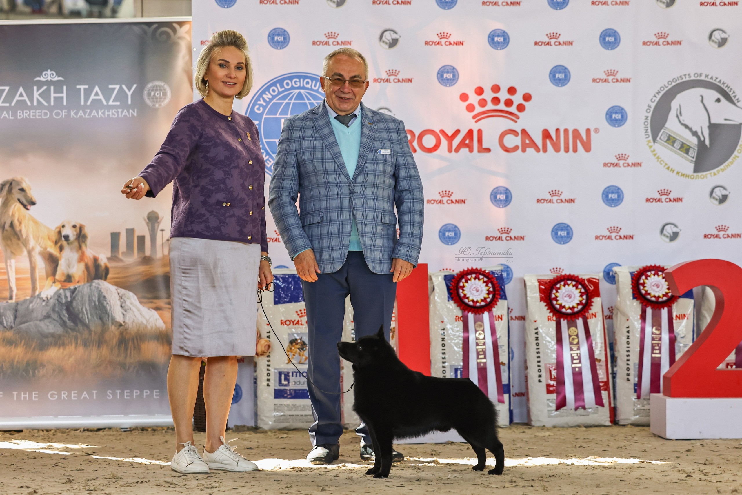 Астана 2хCACIB 26-28.09.2025. Фотограф-анималист Юлия Германика