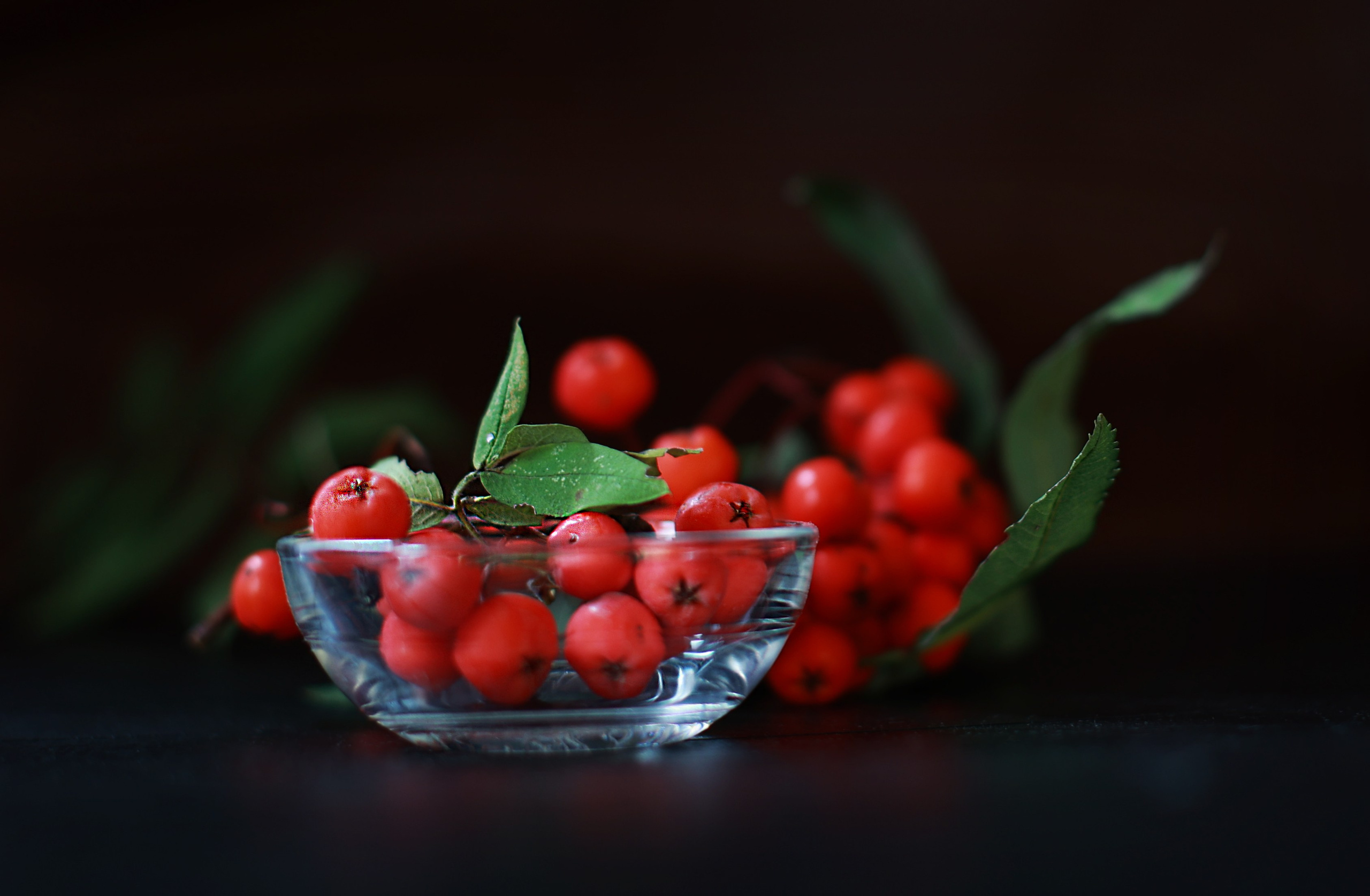 Натюрморт. Фотография как кино