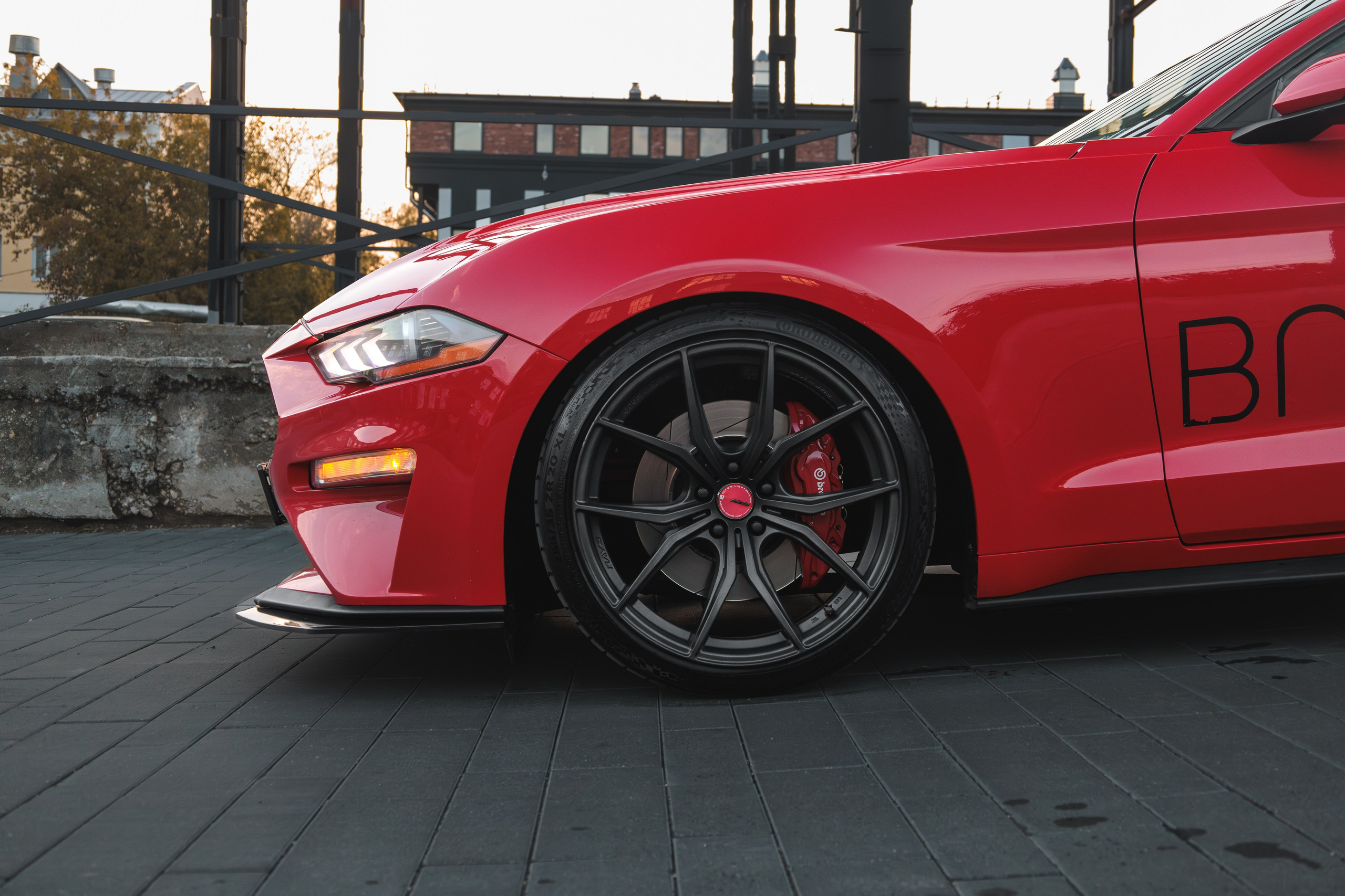 Mustang. Мелехов Дмитрий|Фотограф|Видеограф