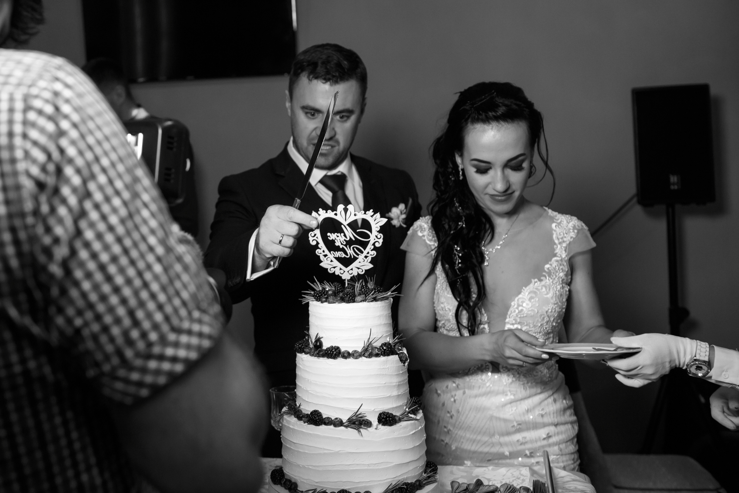 Рената и Артем, ЗАГС г. Королев, ресторан Royal. Свадебный и репортажный фотограф (Москва, Королев и другие)