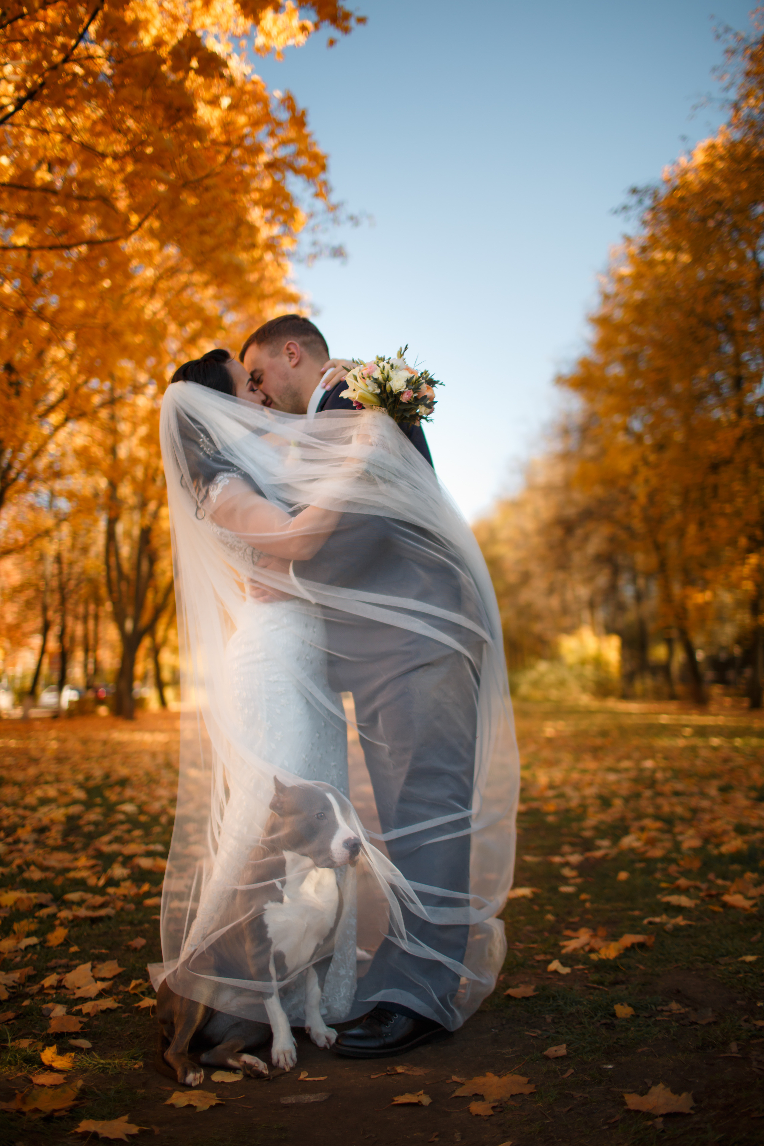 Рената и Артем, ЗАГС г. Королев, ресторан Royal. Свадебный и репортажный фотограф (Москва, Королев и другие)