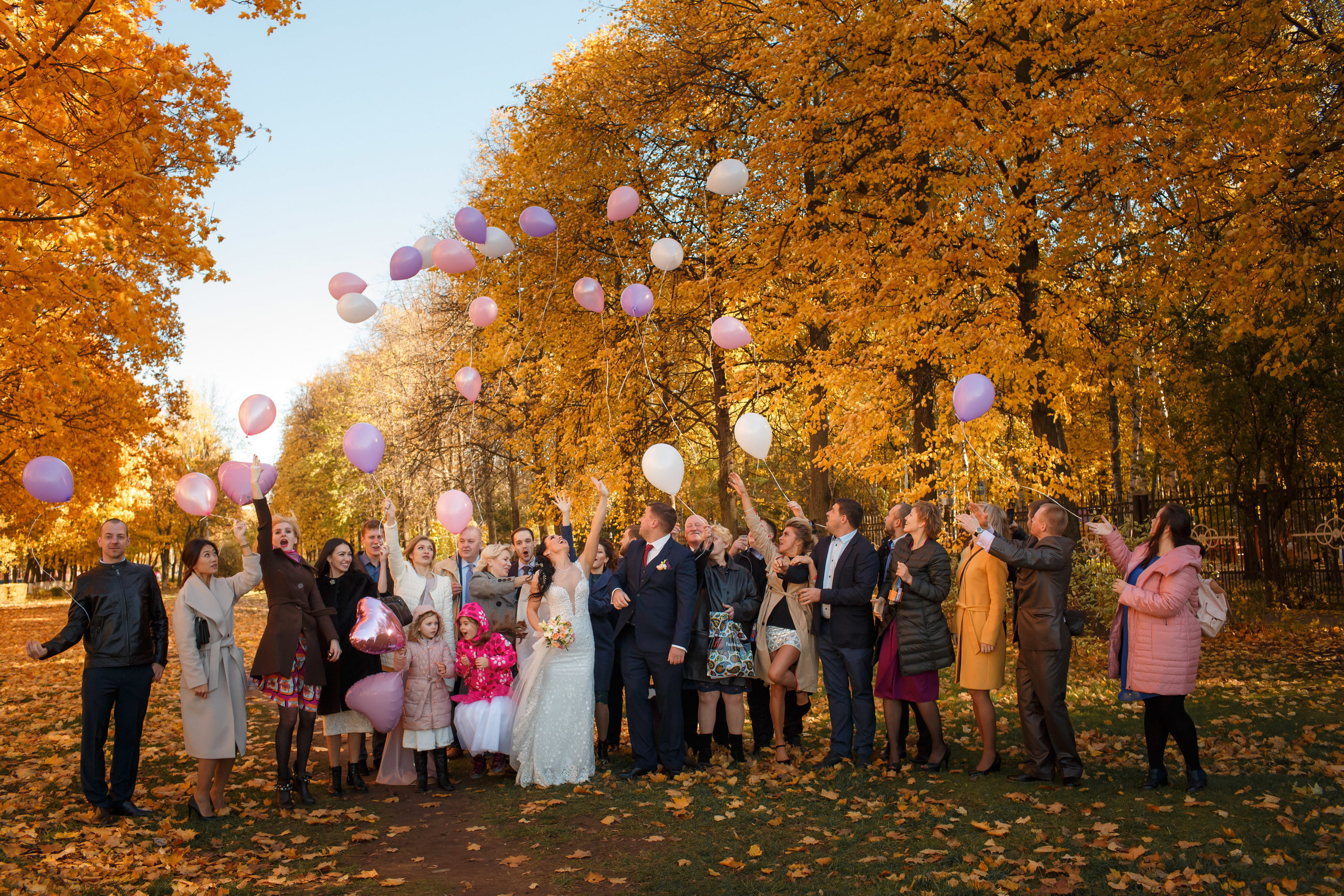 Рената и Артем, ЗАГС г. Королев, ресторан Royal. Свадебный и репортажный фотограф (Москва, Королев и другие)