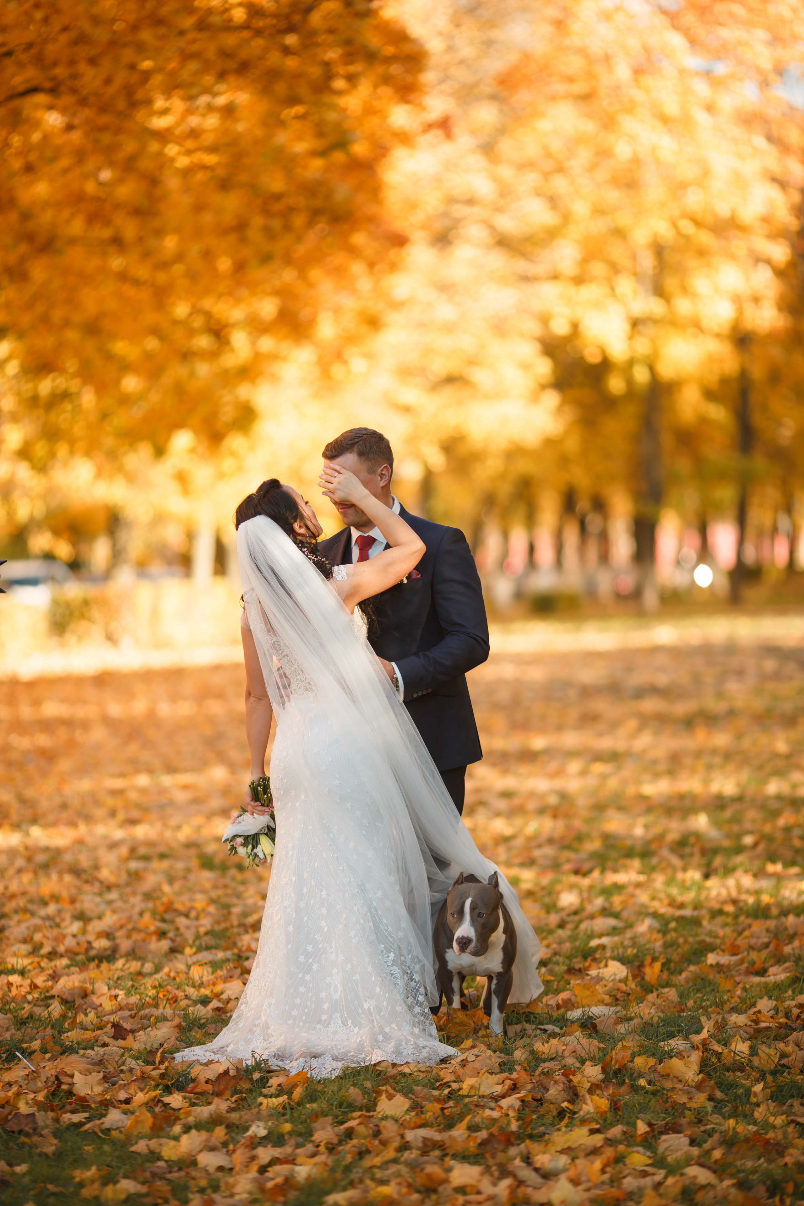 Рената и Артем, ЗАГС г. Королев, ресторан Royal. Свадебный и репортажный фотограф (Москва, Королев и другие)