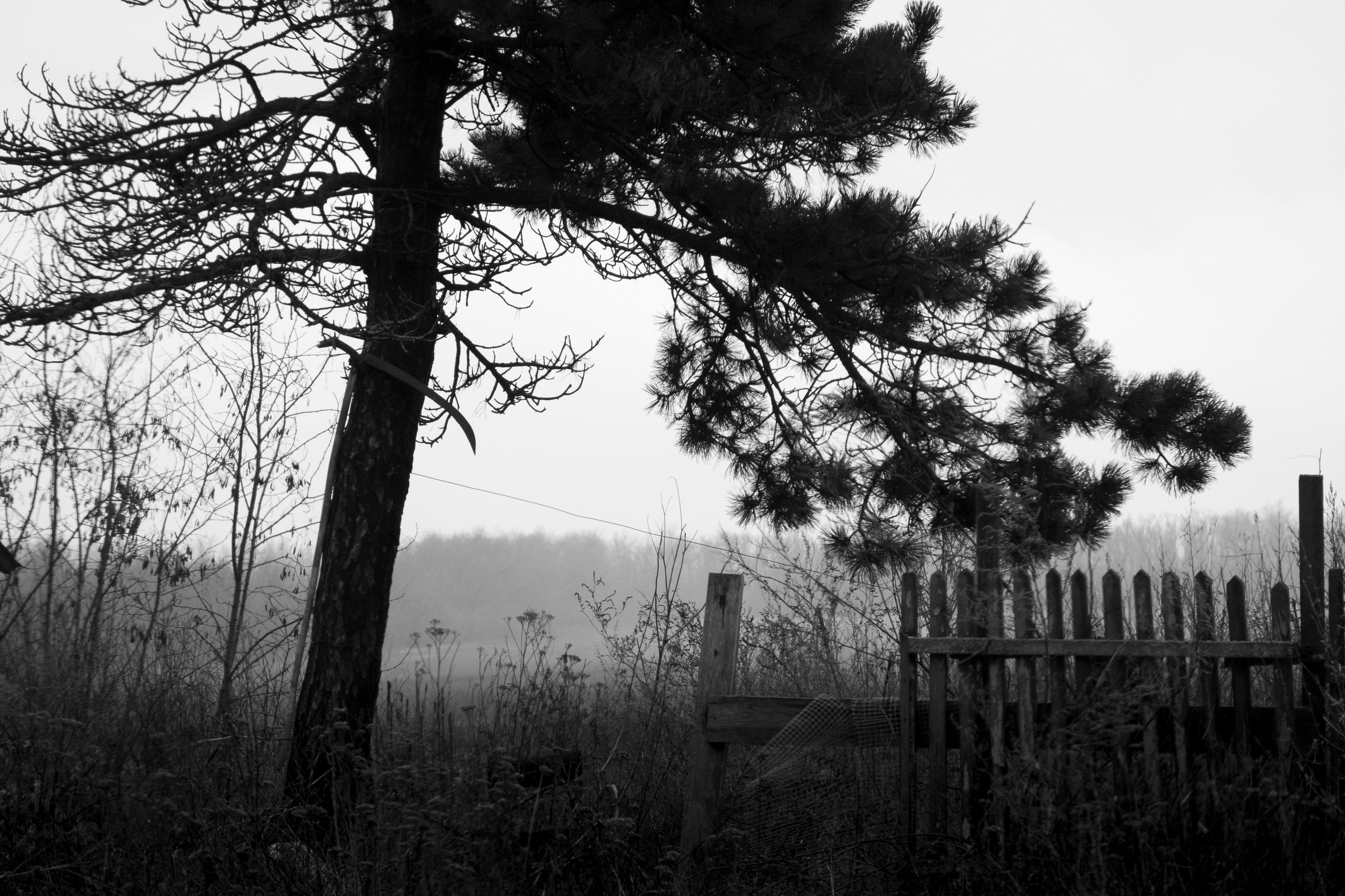Ad Sensum. Фотограф Антон Денисенко: Портрет, Репортаж. Москва
