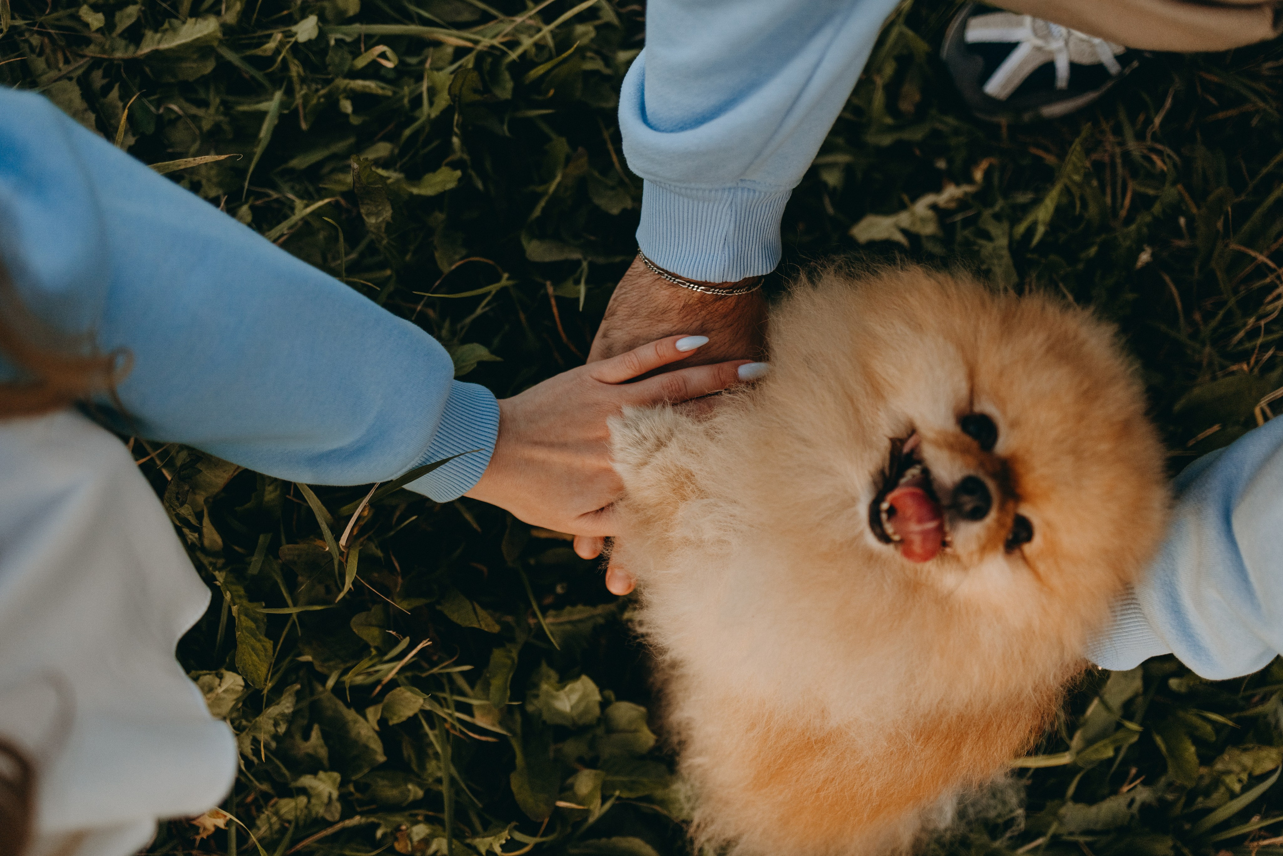 Стив и его семья. Фотограф — Анималист | Санкт-Петербург