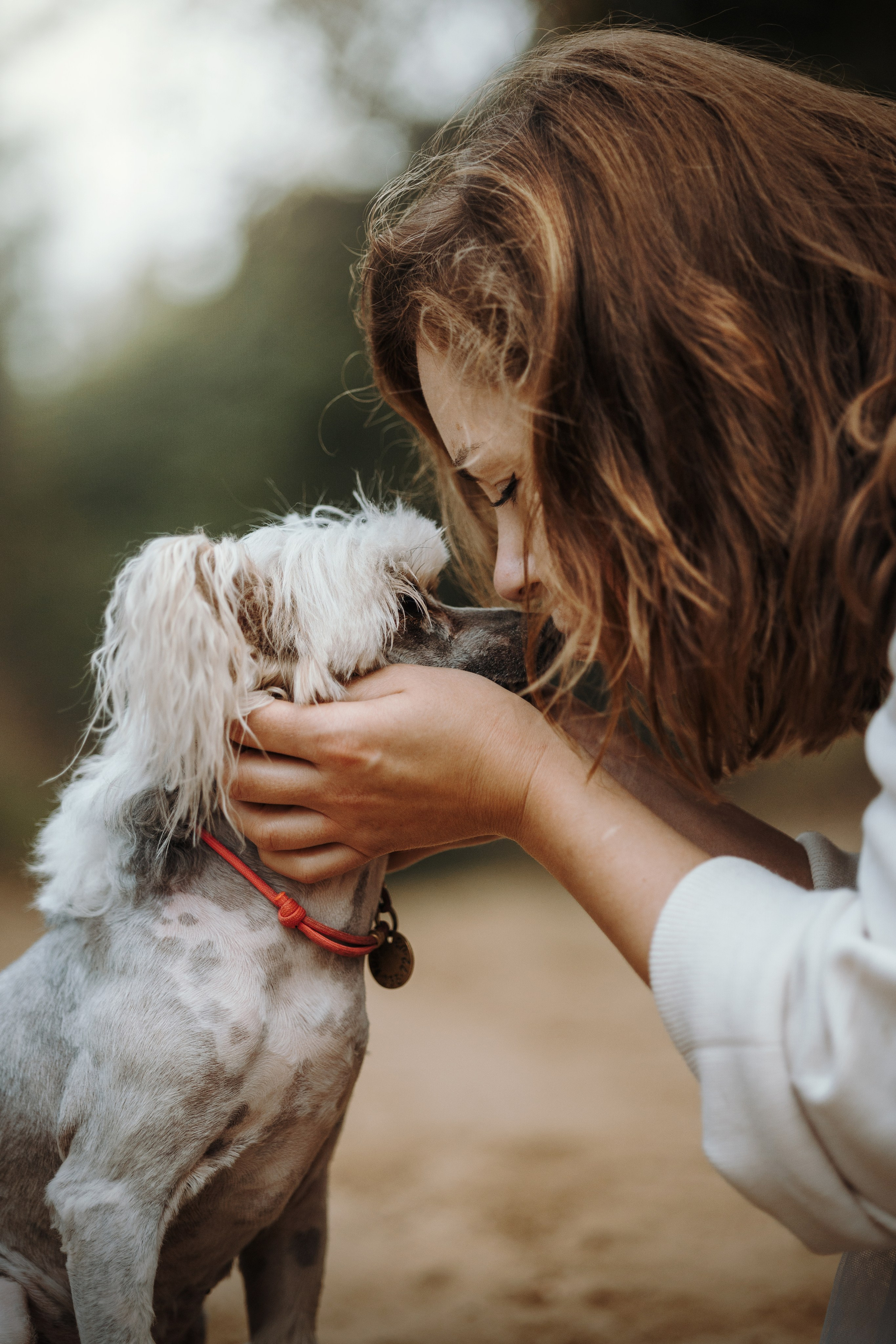 Любовь и ее хвостики. Фотограф — Анималист | Санкт-Петербург
