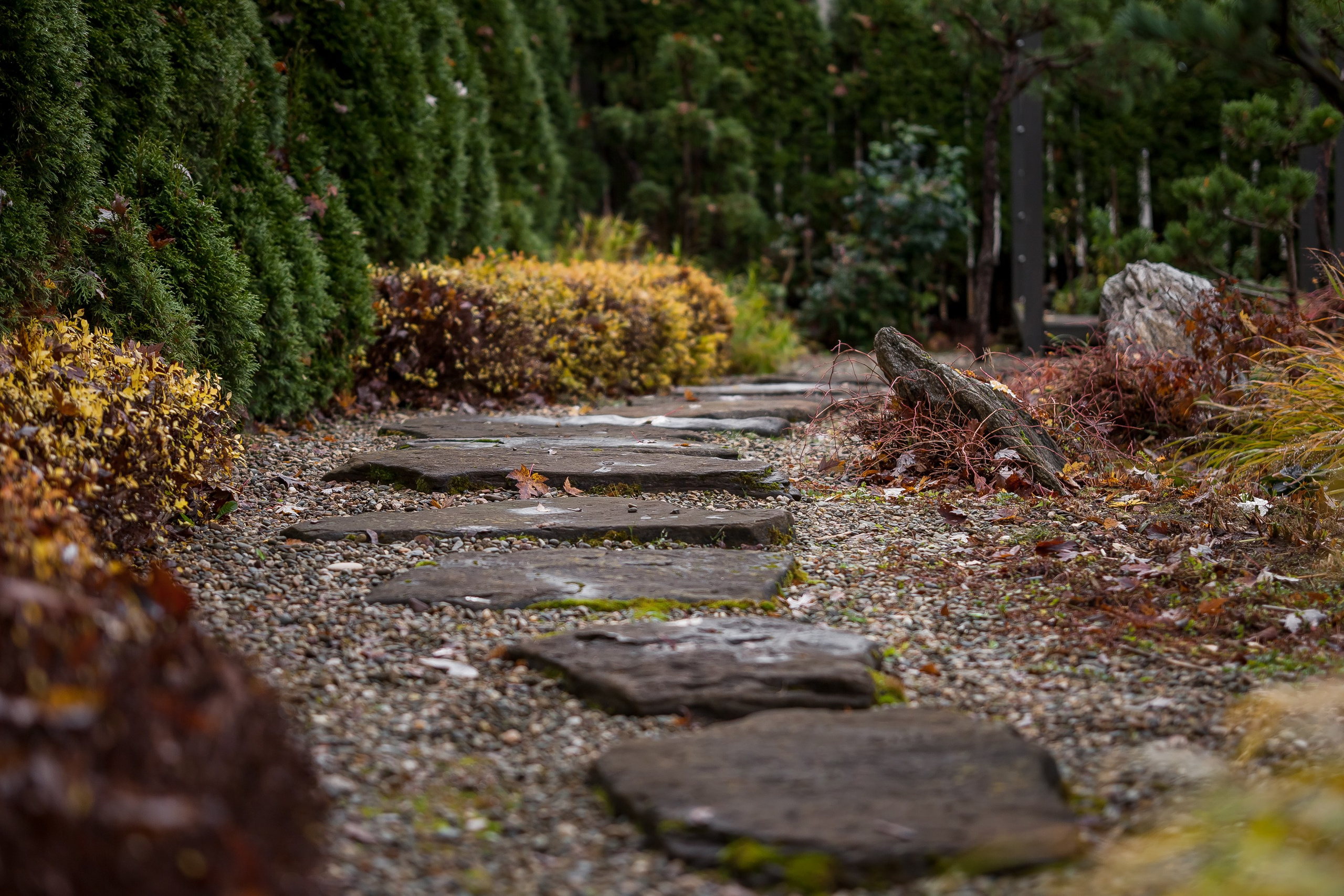 Личный сад Елены Асташкиной (осень). Фотограф Виталий Туманов. Туманов Виталий — фотограф Москва