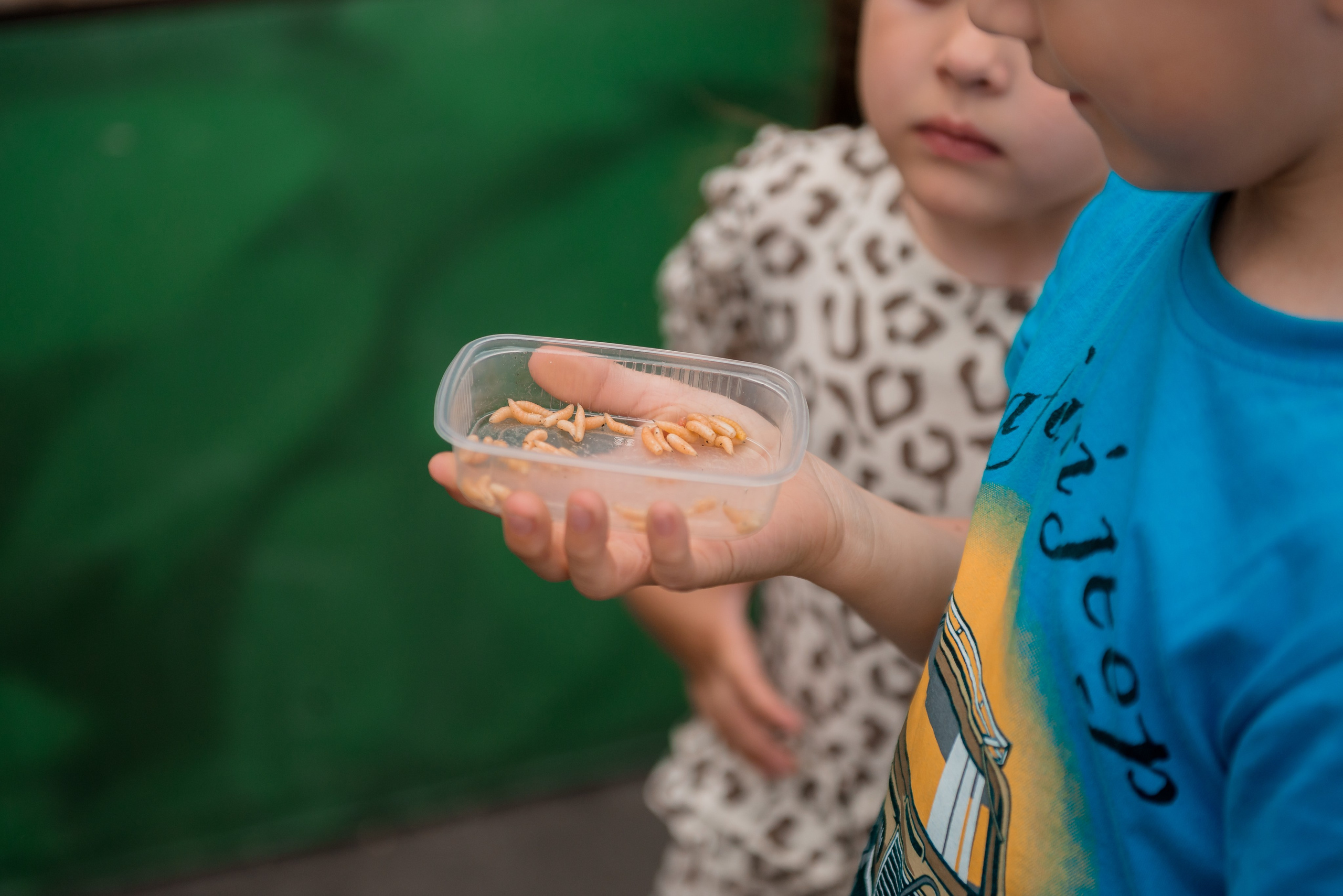 12 Июня 2024. Детский фотограф, семейный фотограф и репортажи в Кемерово