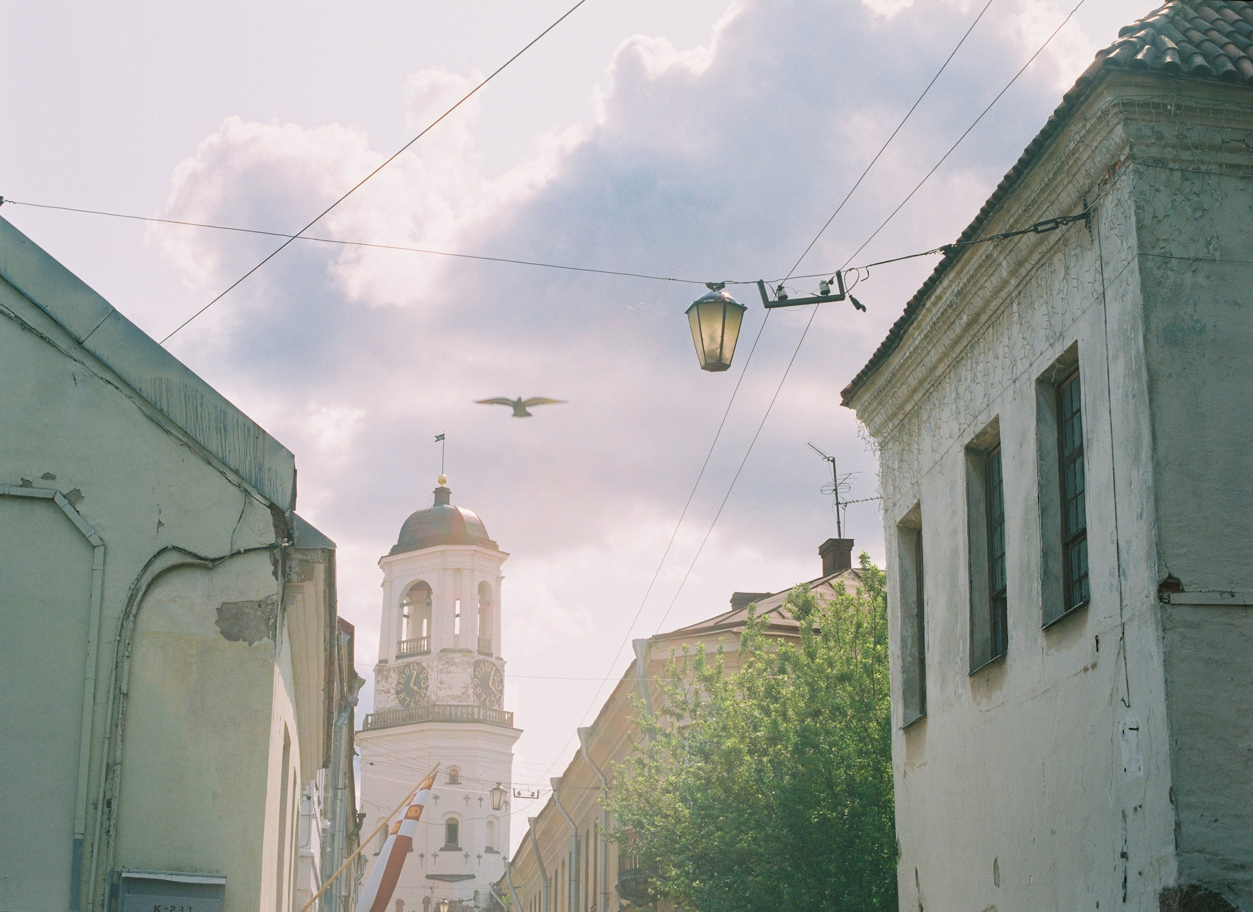 Dima Ievlev
