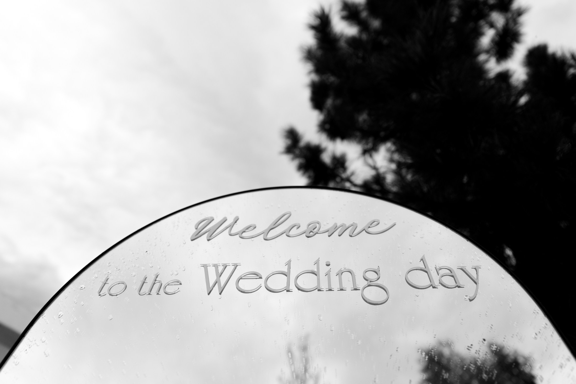 A&A | 08.08.25. Свадебный фотограф Федоров Данил