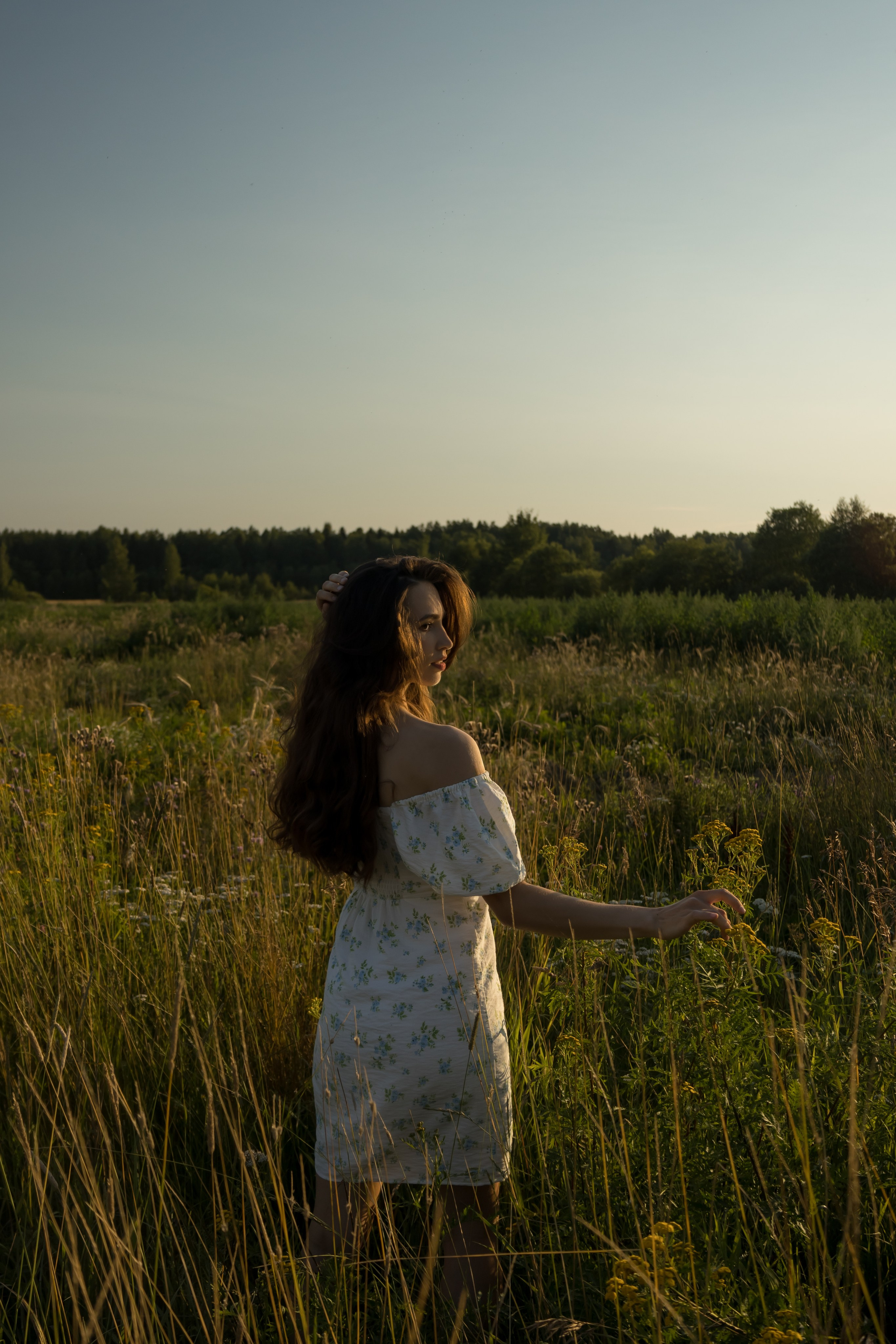 Ромашковое поле. Персональный фотограф в Санкт-Петербурге Тимур Калимулин