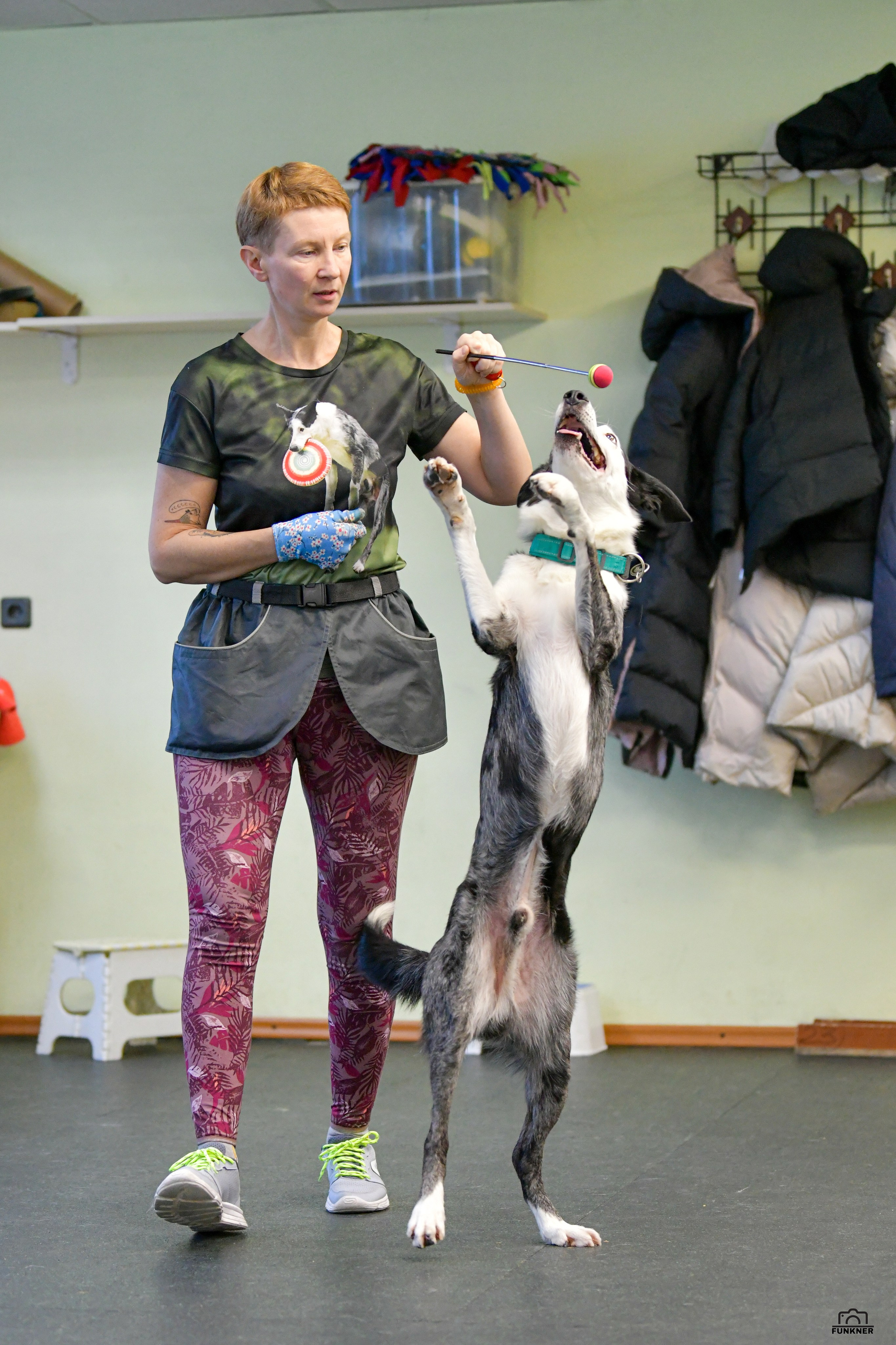 Кинологический клуб «Бодрый хвост». Свой взгляд через объектив