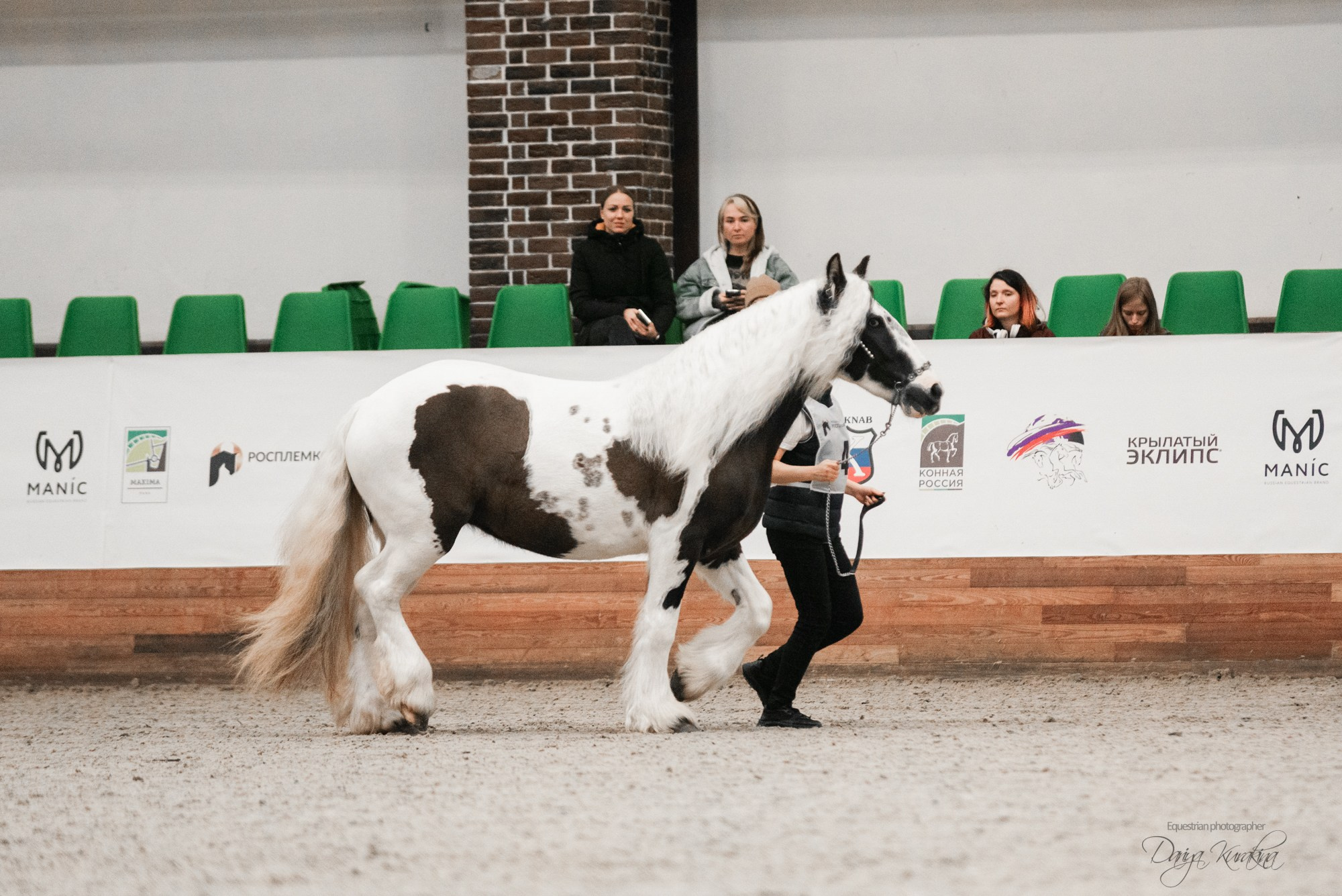 8-я международная выставка Конная Россия. Конный фотограф Куракина Дарья • Фотосессии с лошадьми
