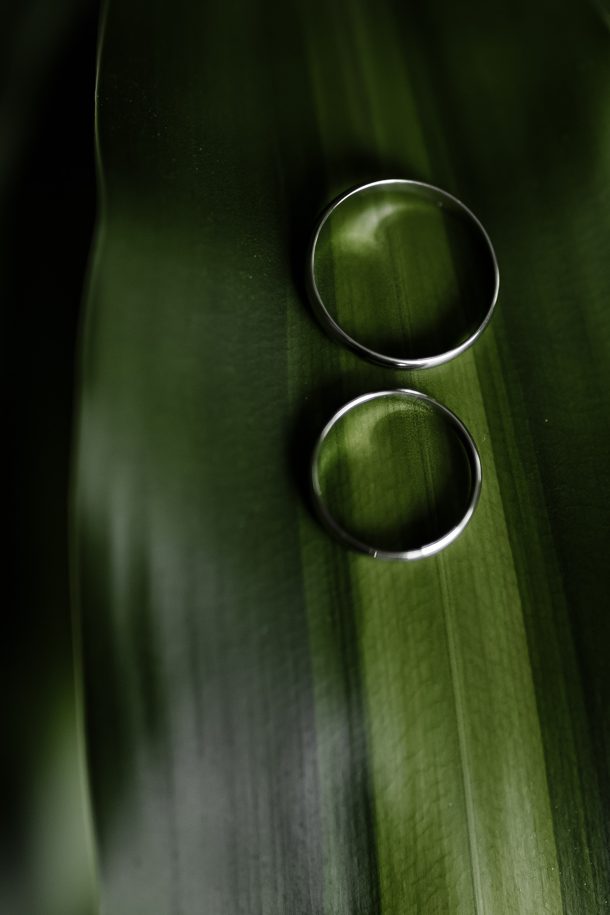 Фотограф Светлана Голицына