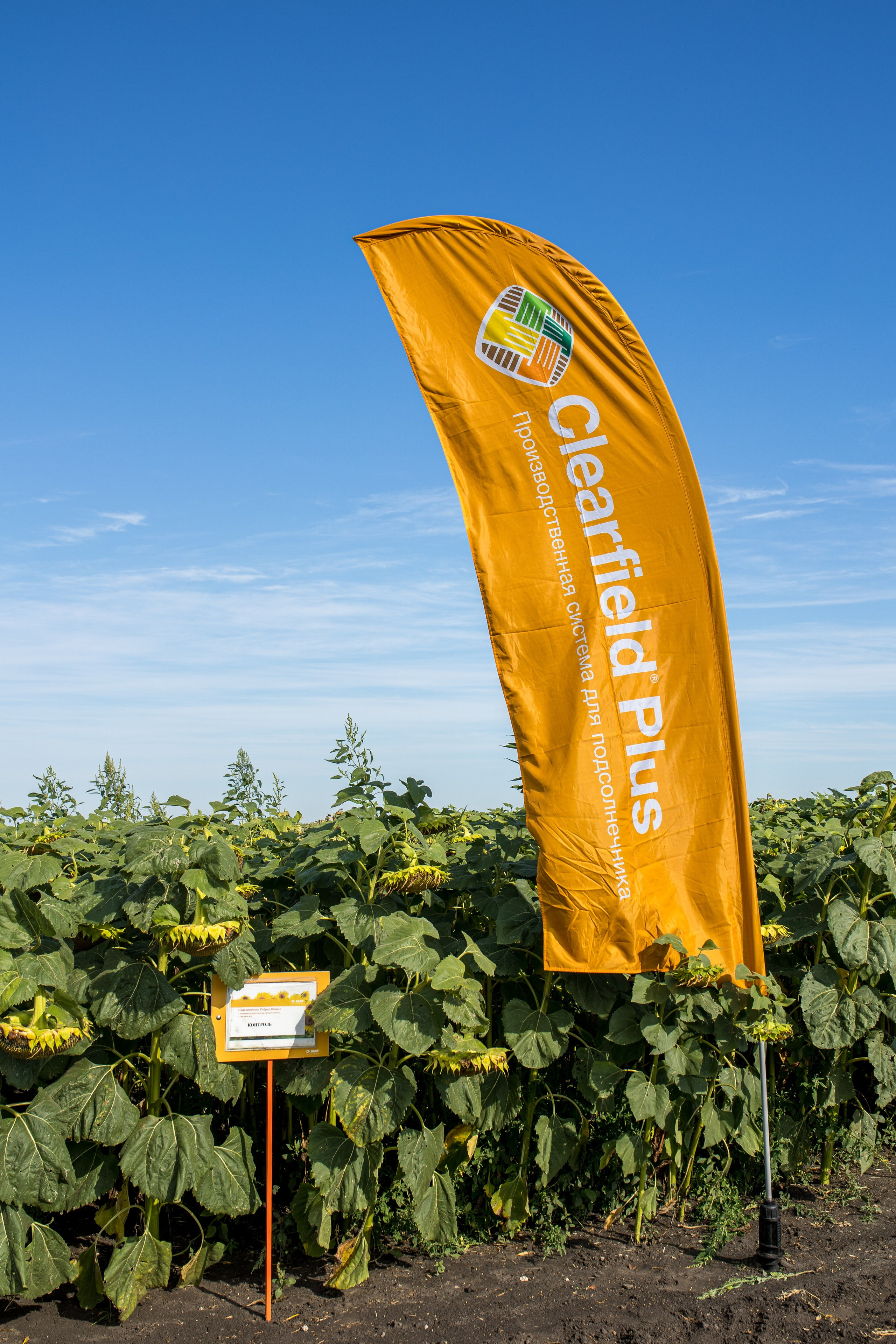 Решения для сельского хозяйства BASF 16.08.2022. Владислав Волков | Фотография и видеосъемка в Воронеже