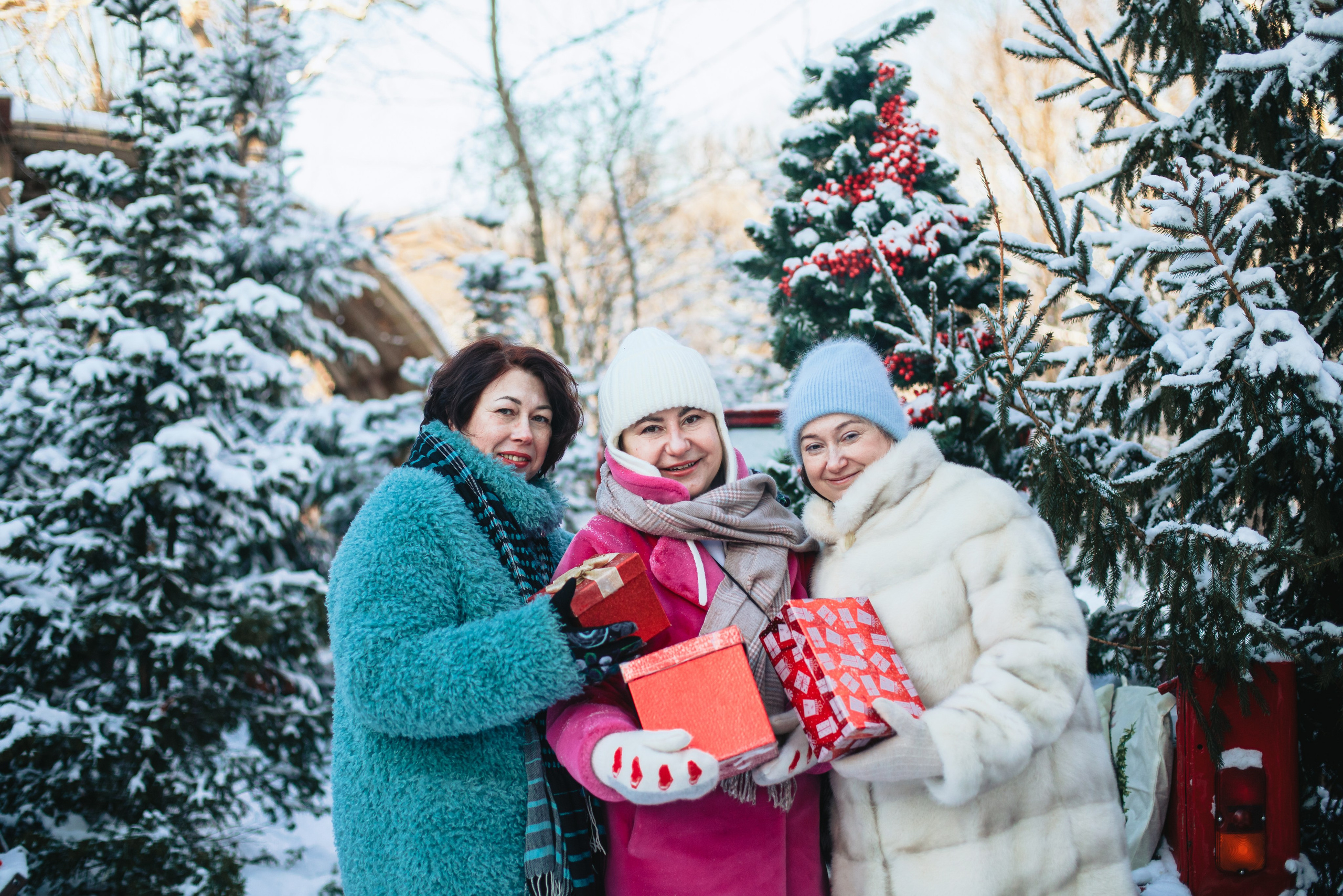 Зингер дача. Фотограф-анималист Татьяна Степанова