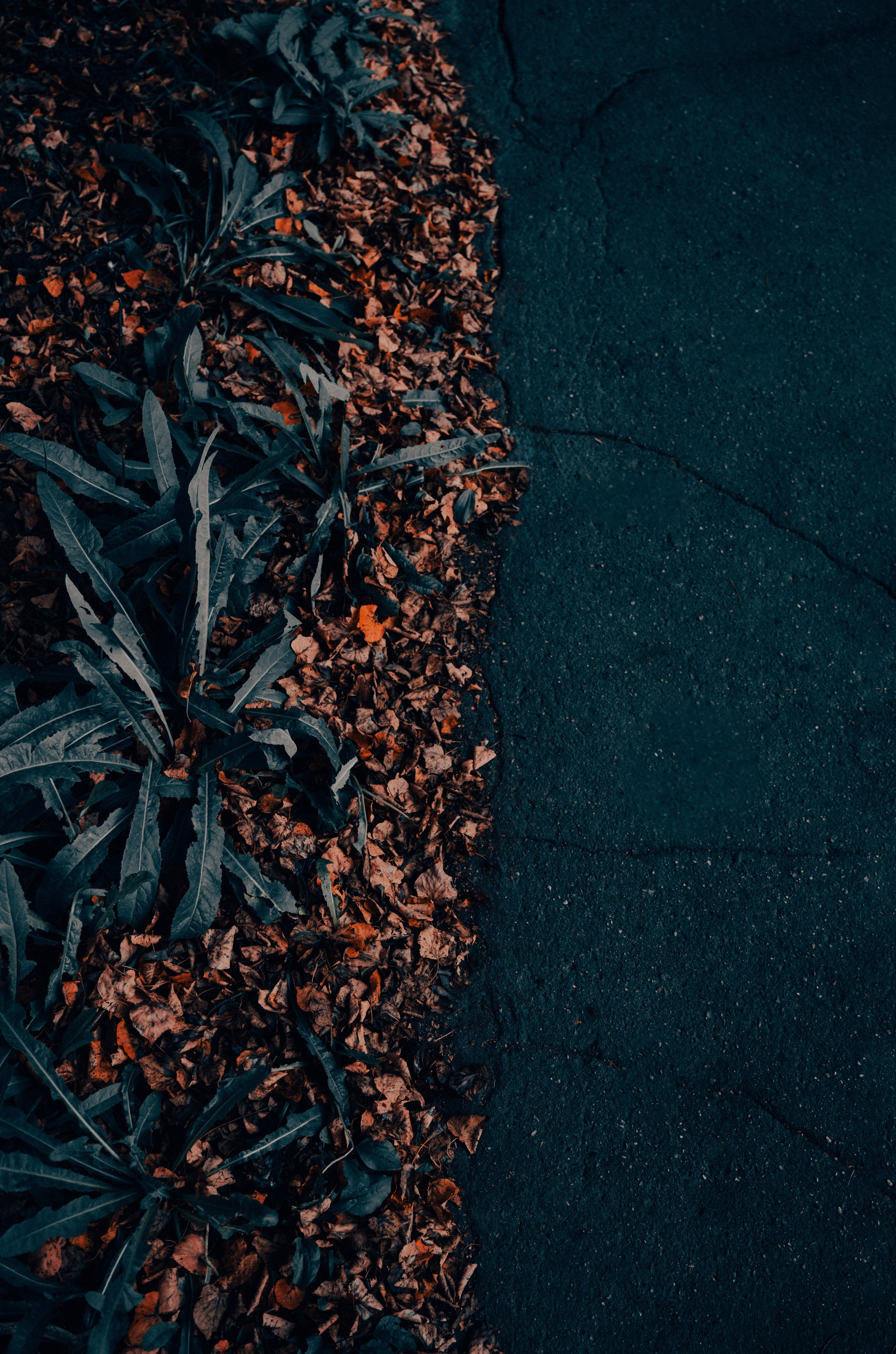 фотосъёмка для маркетплейсов предметная съёмка для маркетплейса фото товаров для Ozon / Wildberries / Яндекс Маркет студийная съёмка для карточек товара видеосъёмка для маркетплейсов контент для карточек товара продающие фото для Wildberries профессиональные фото для маркетплейсов видеообзор товара для Ozon / WB видеоинструкция для маркетплейса лукбук для маркетплейсов инфографика для маркетплейса  видеосъёмка продакшн студия полного цикла производство видео под ключ создание рекламного ролика видеосъёмка для бизнеса креативная видеосъёмка съемка видеообзоров имиджевое видео для бренда промо ролик под маркетплейс видеоролик под Wildberries / Ozon