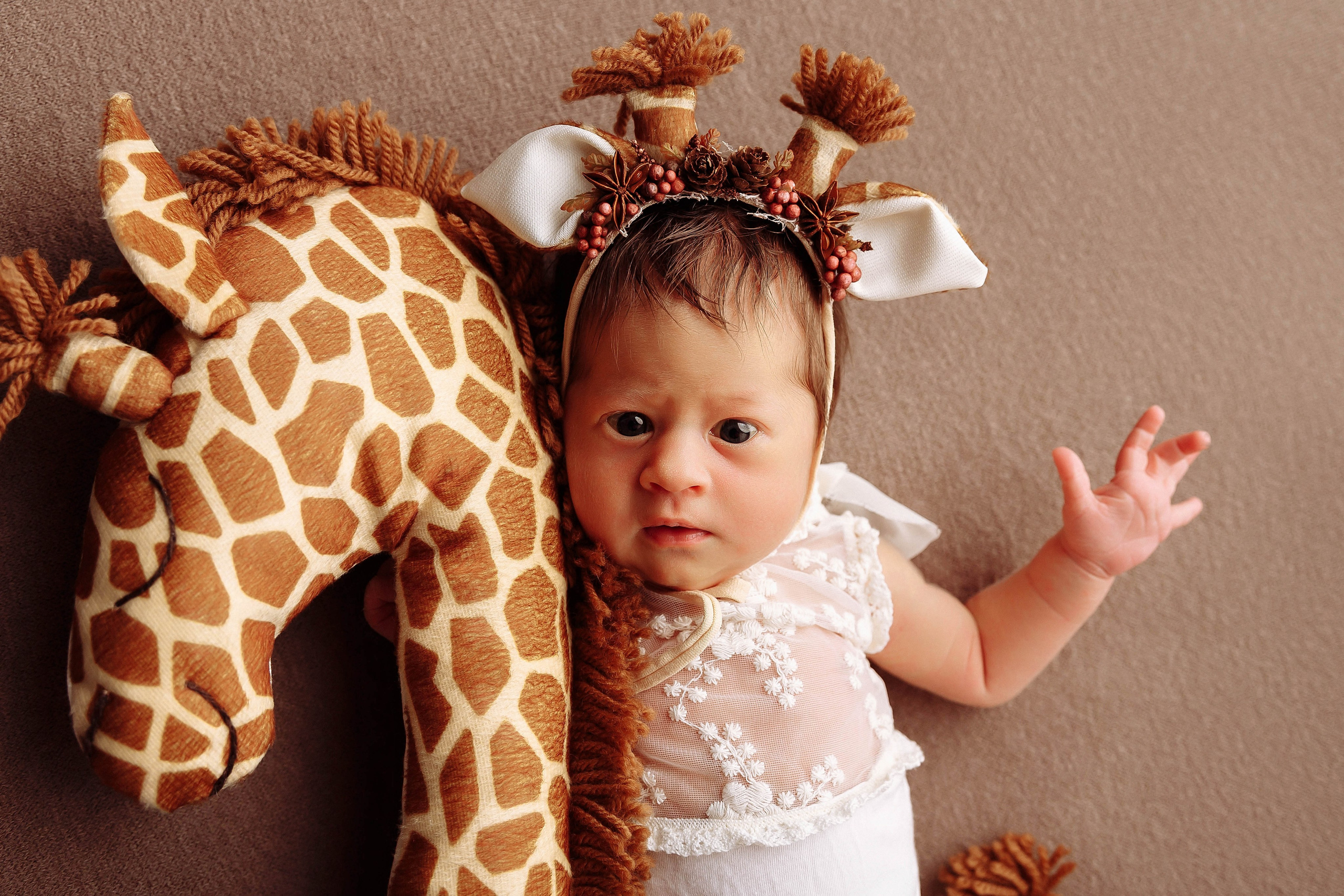 София. Фотограф новорожденных Тверь Диана Муляева