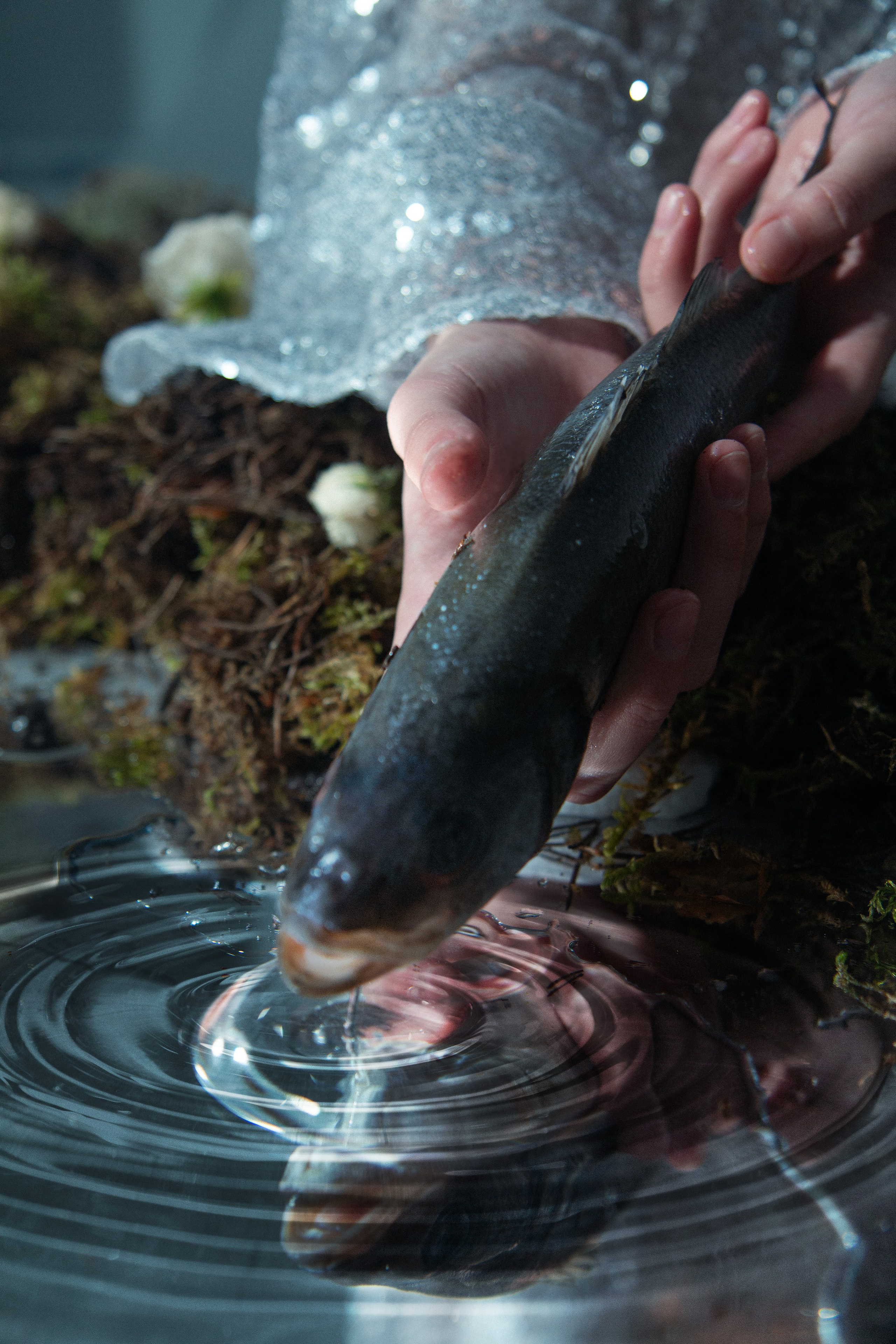 По щучьему велению. Valeria Smyshlyaeva