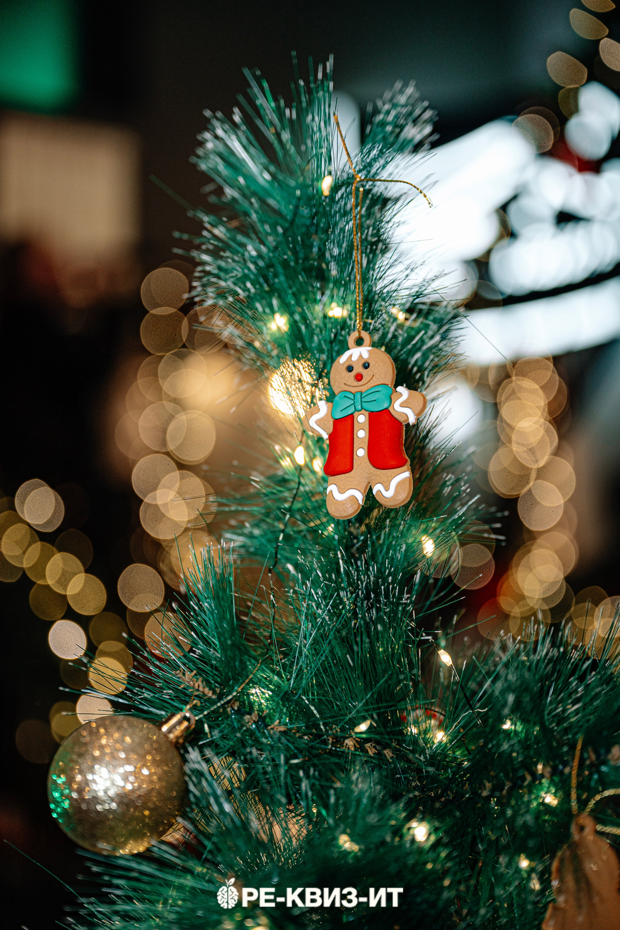 Реквизит — квиз в Зеленодольске и Волжске ZR cafe. Свадебный фотограф в Казани, и Зеленодольске Радик Мухаметов