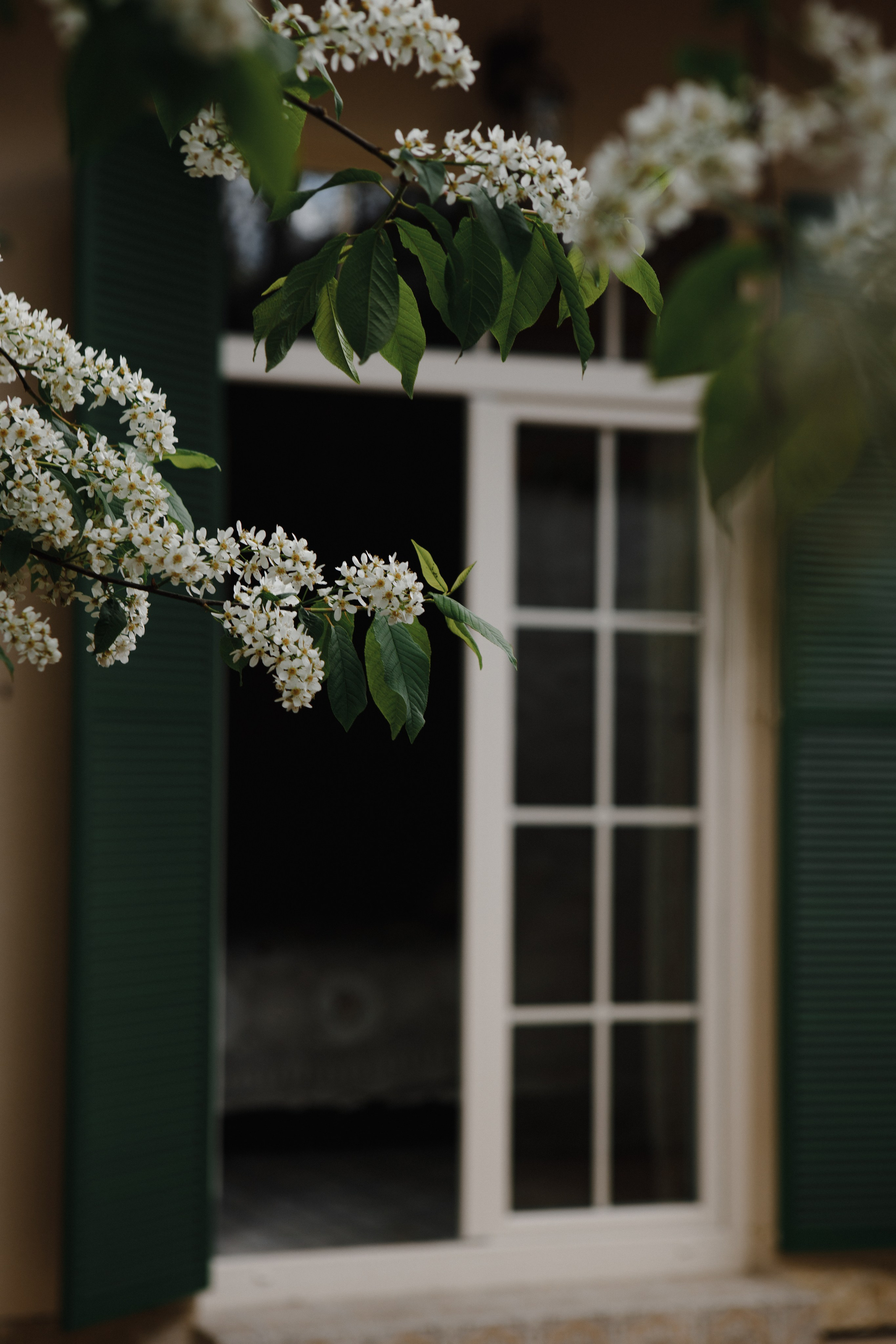 K&A. Свадебный и семейный фотограф Чижова Алина