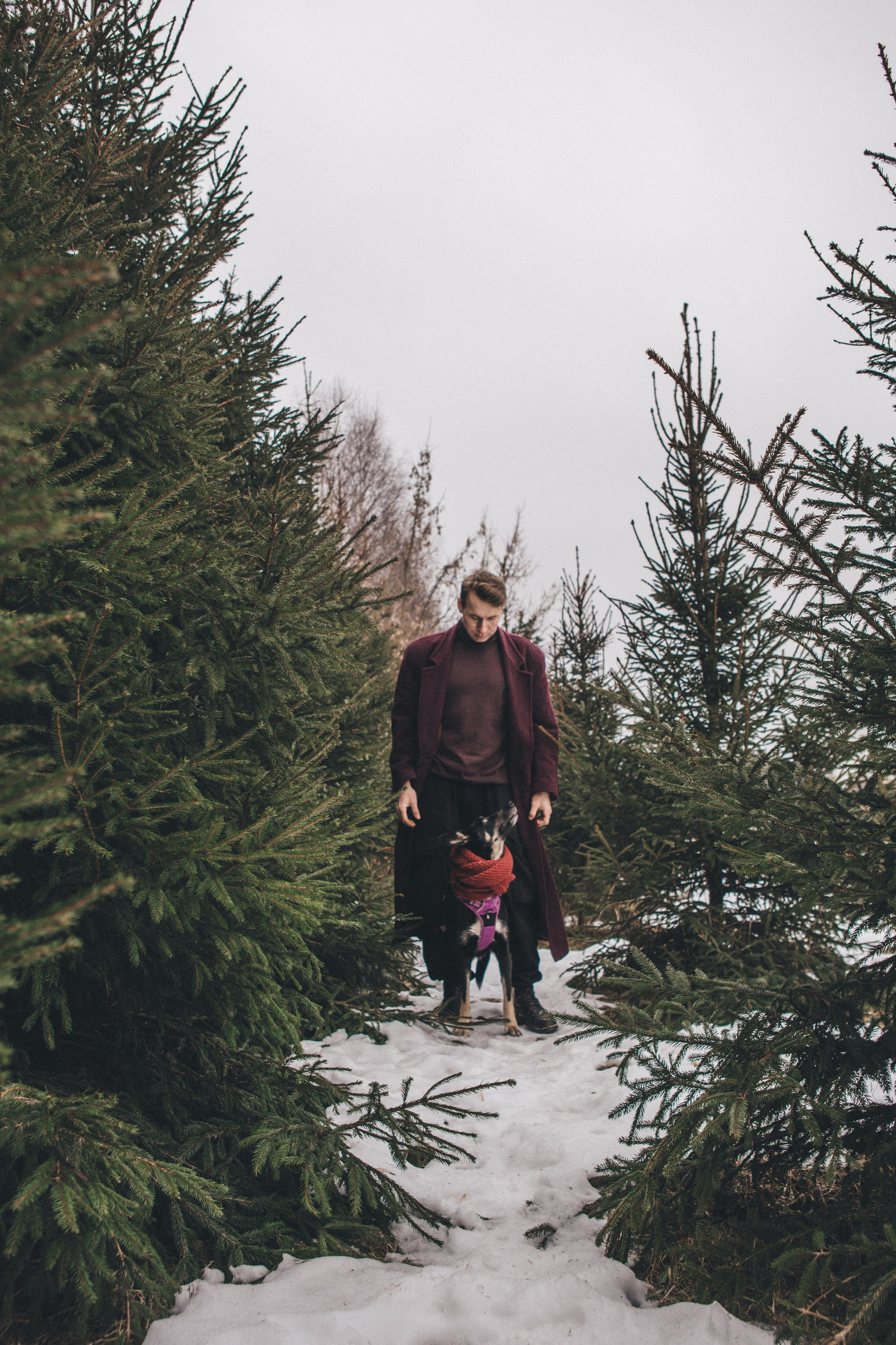 A cinematic tale of true love and unbreakable friendship between a man and a dog. Portrait, family and pet photographer in Cyprus, Ksenia Bourdelle