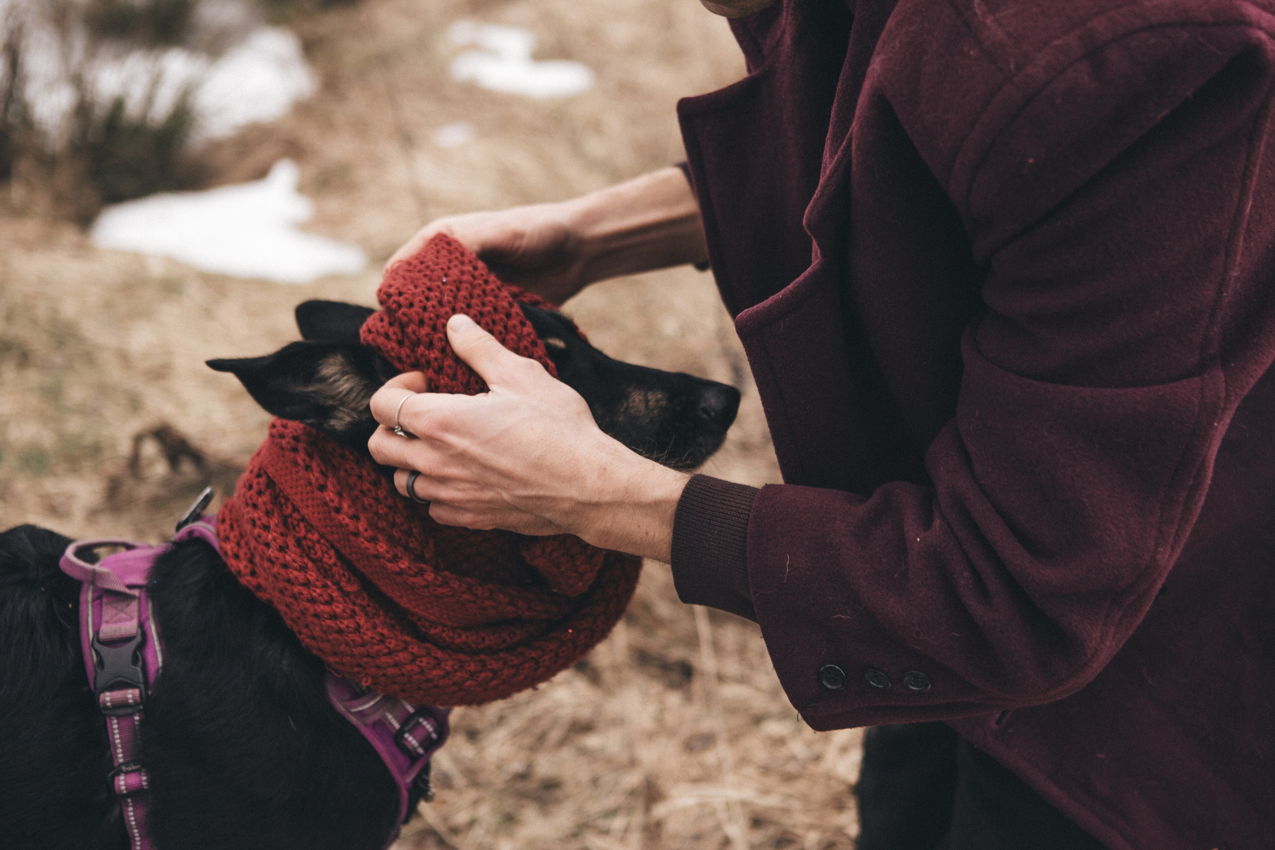A cinematic tale of true love and unbreakable friendship between a man and a dog. Portrait, family and pet photographer in Cyprus, Ksenia Bourdelle