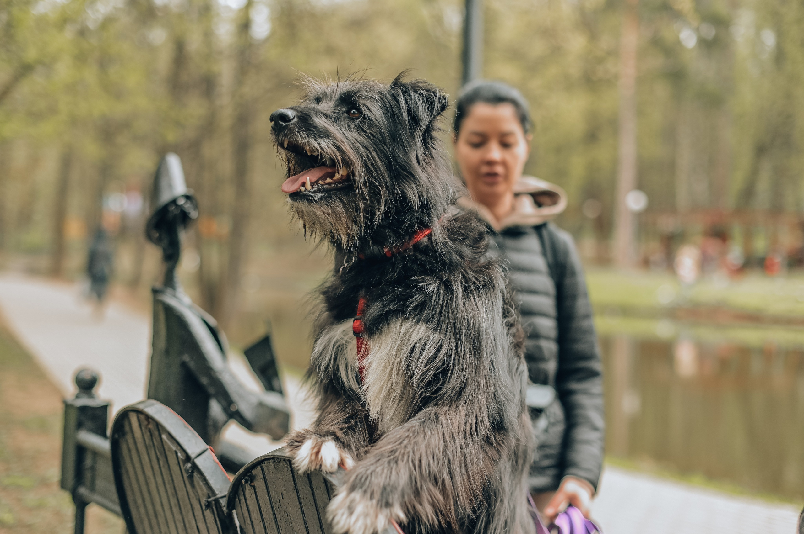 Занятие с кинологом. Семейный и репортажный фотограф в Москве Анастасия Трубкина