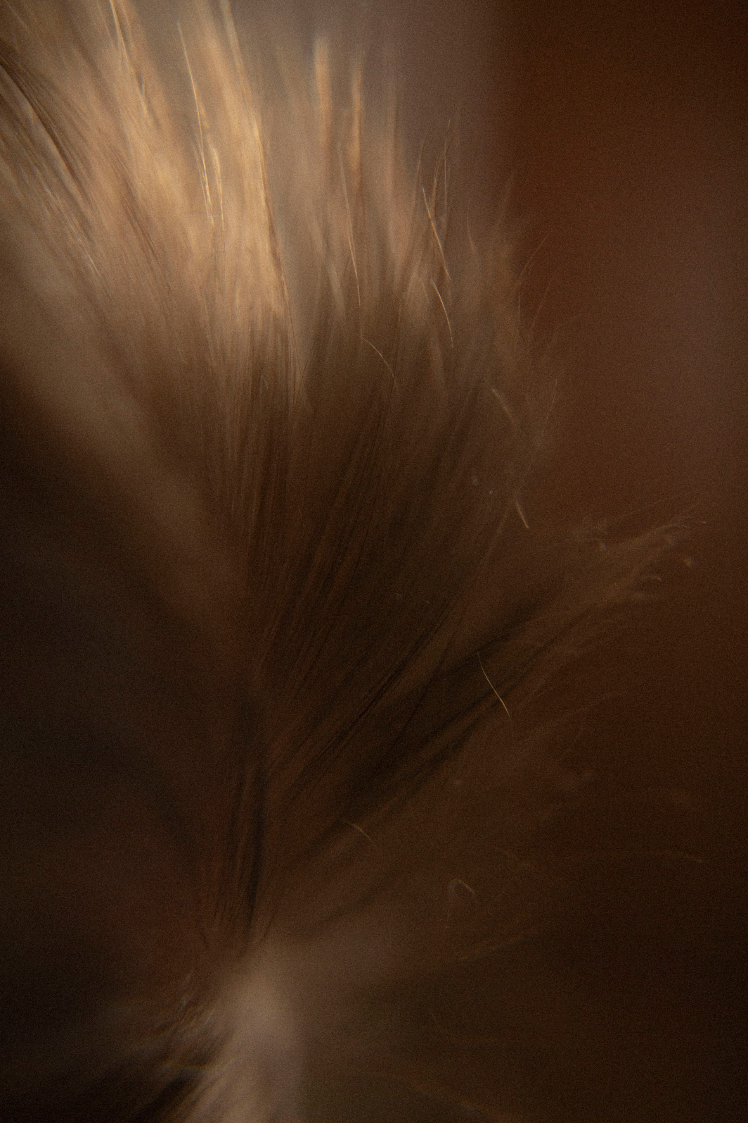 Новорожденные. Семейный фотограф Новосибирск