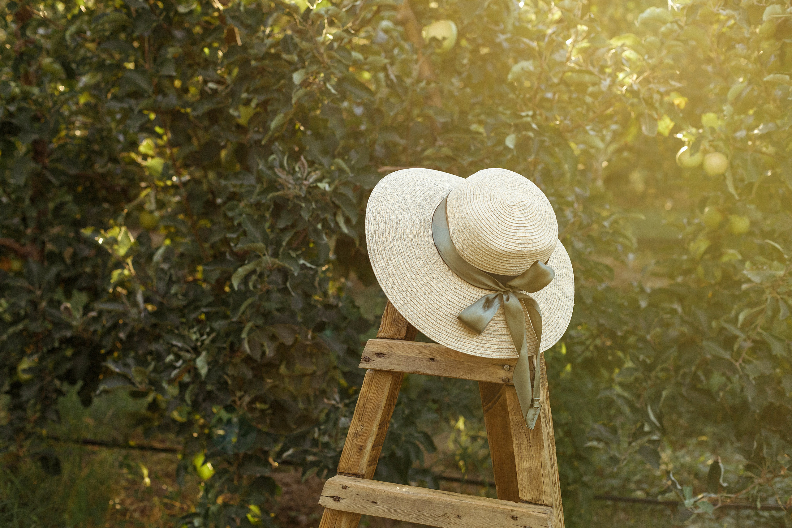 Семья Катаевых. Семейный и детский фотограф в Крыму Екатерина Швец