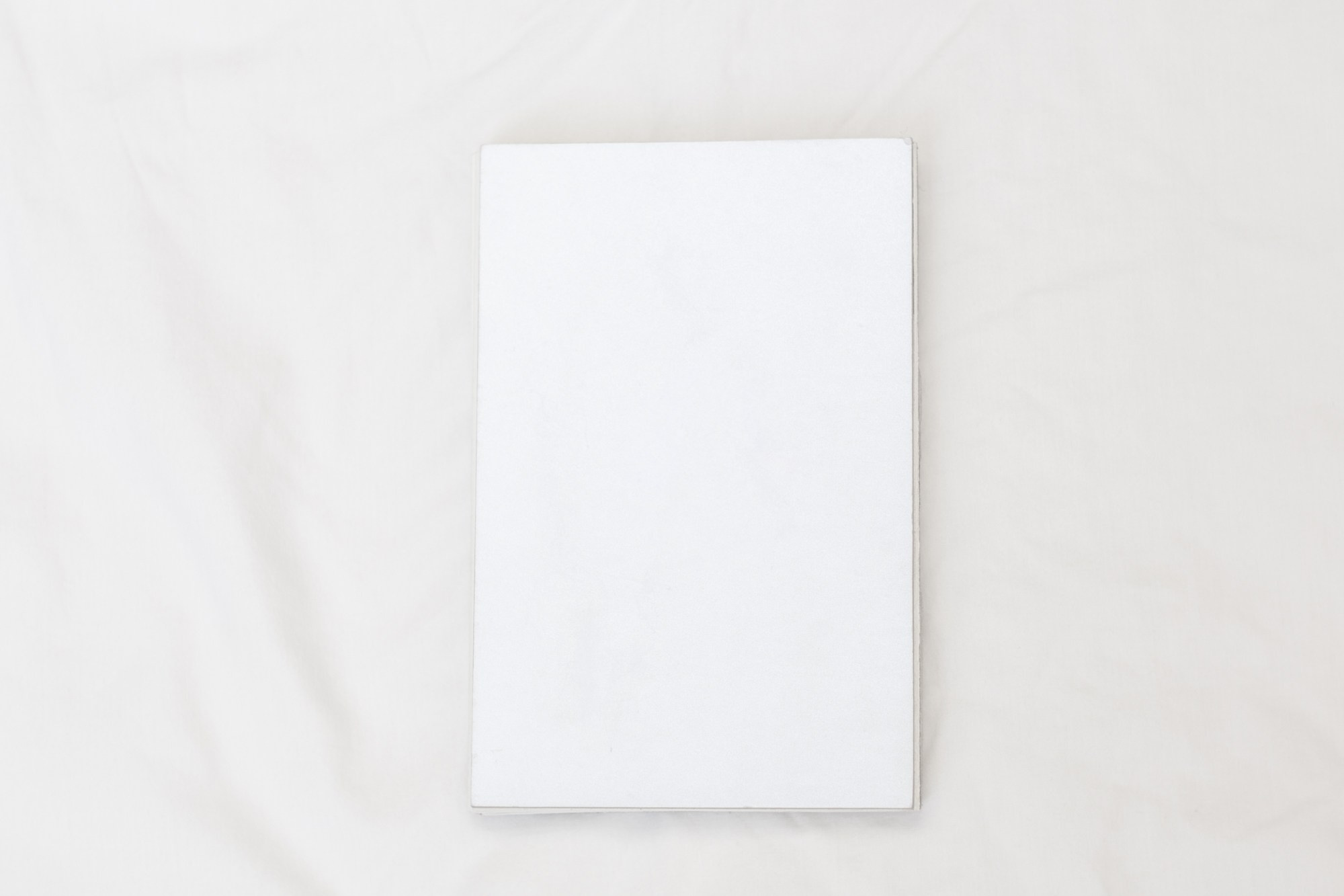 Ultima Thule. Ася Бобрицкая — мультидисциплинарый художник