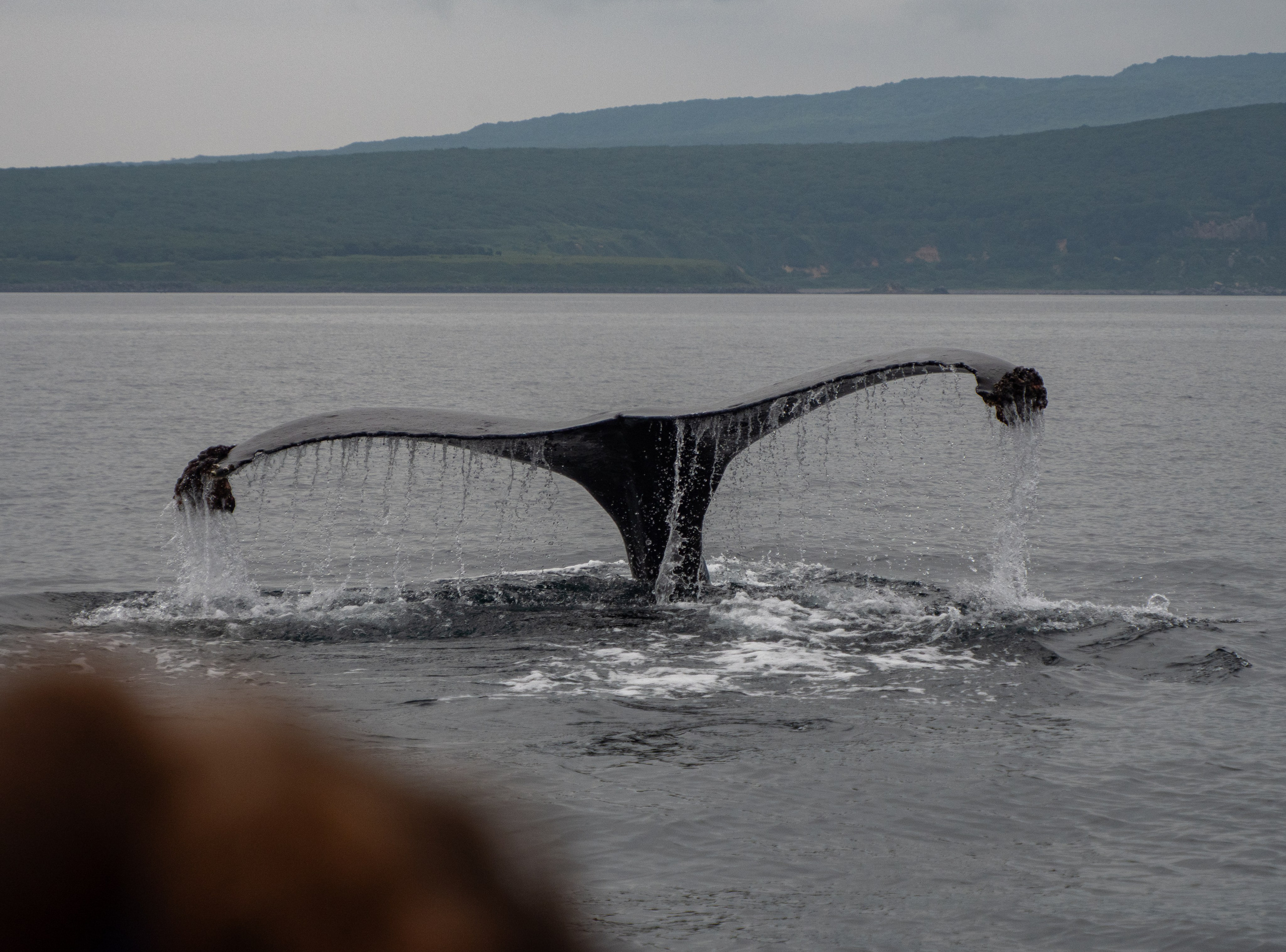 Итуруп. Фотограф Александр Головин
