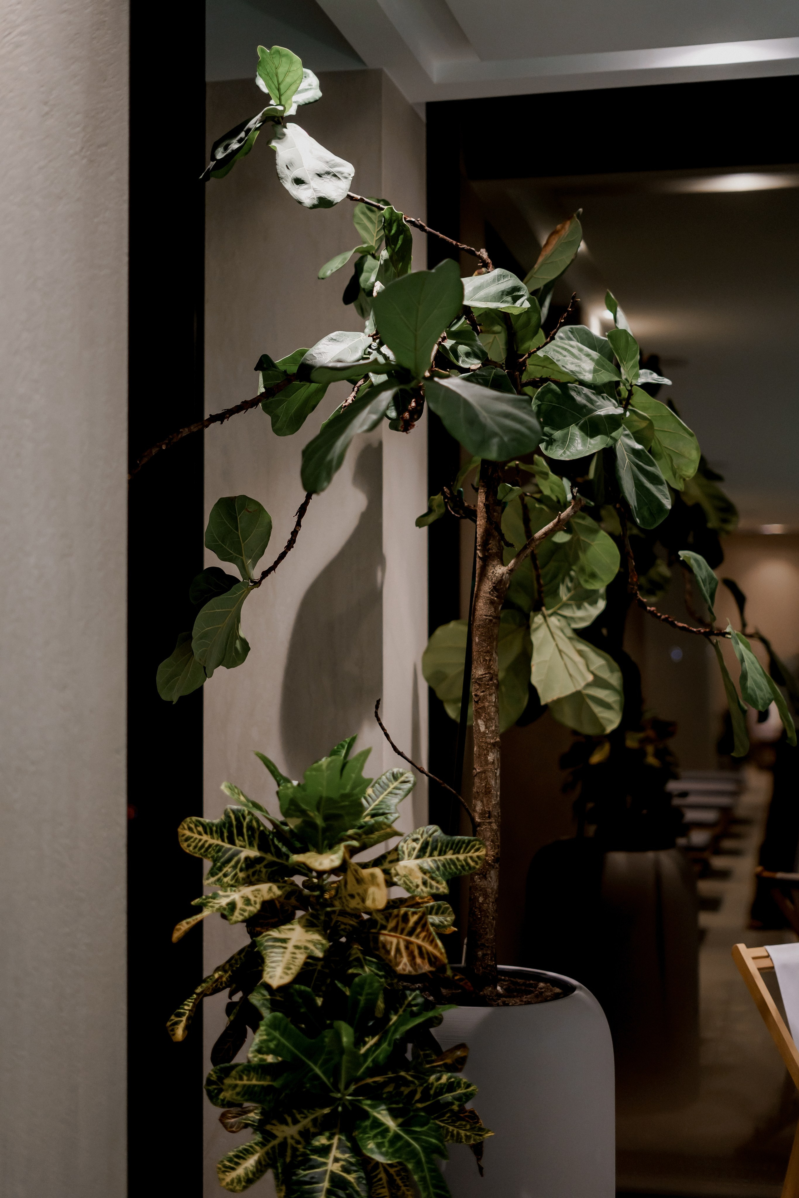 День рождения Лены. Фотограф Валерия Крахмалева