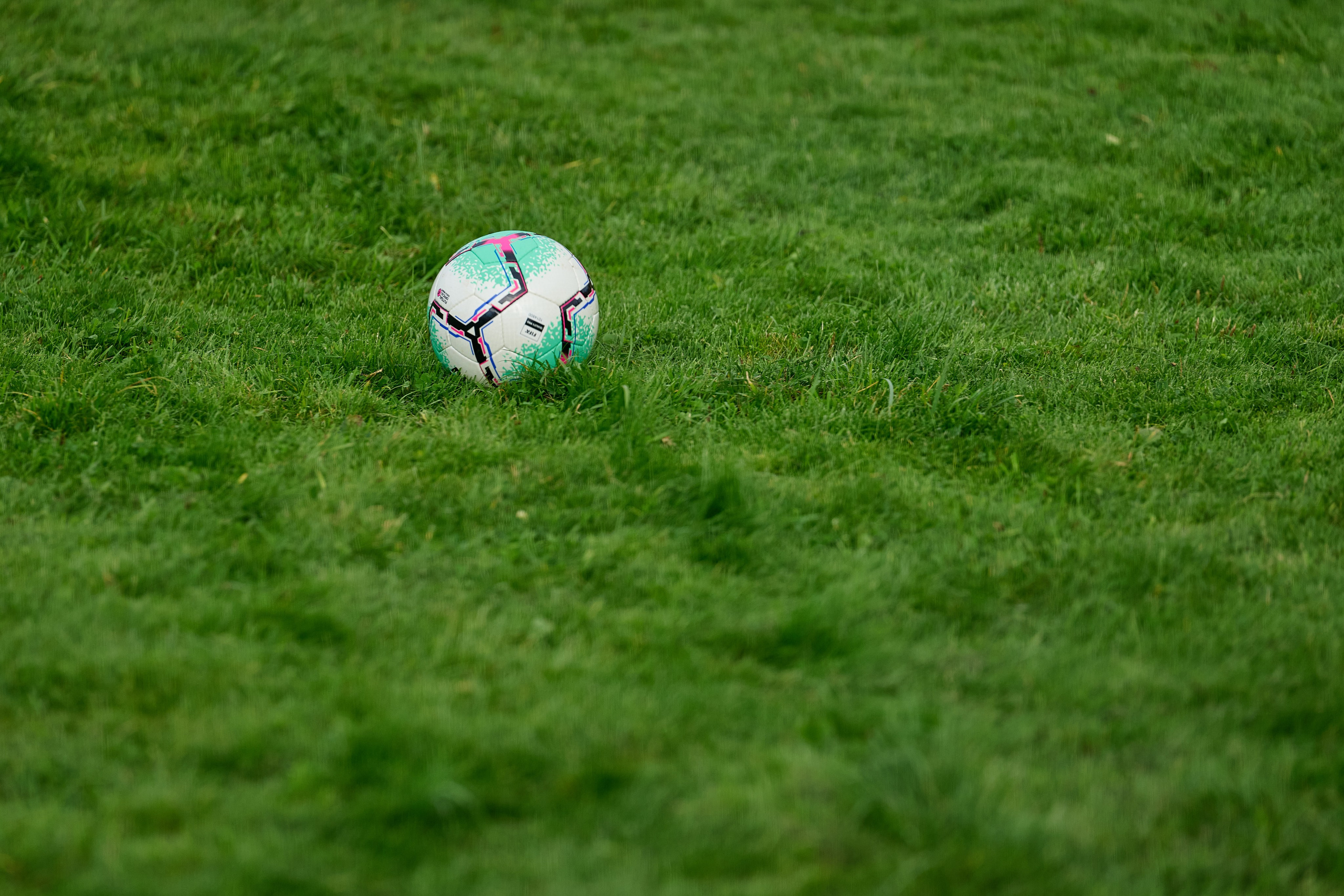 Спартакиада. Адвокаты. Фотограф Опыт Качество Скорость Горный Алтай Барнаул