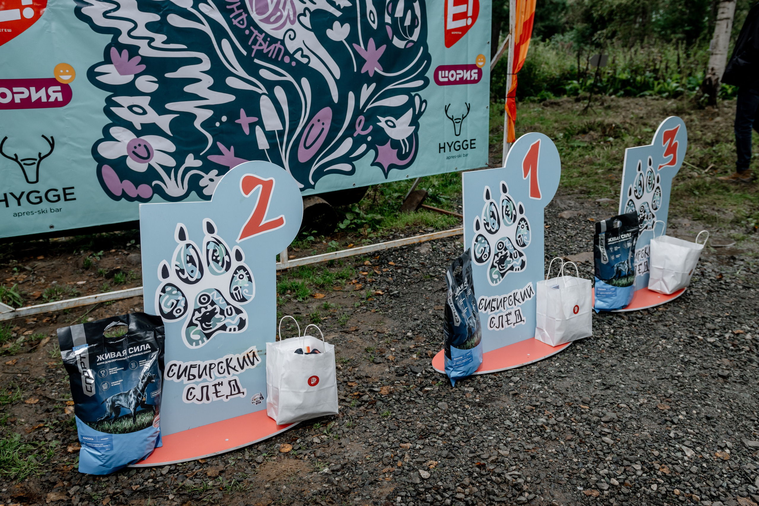 Дог-треккинг