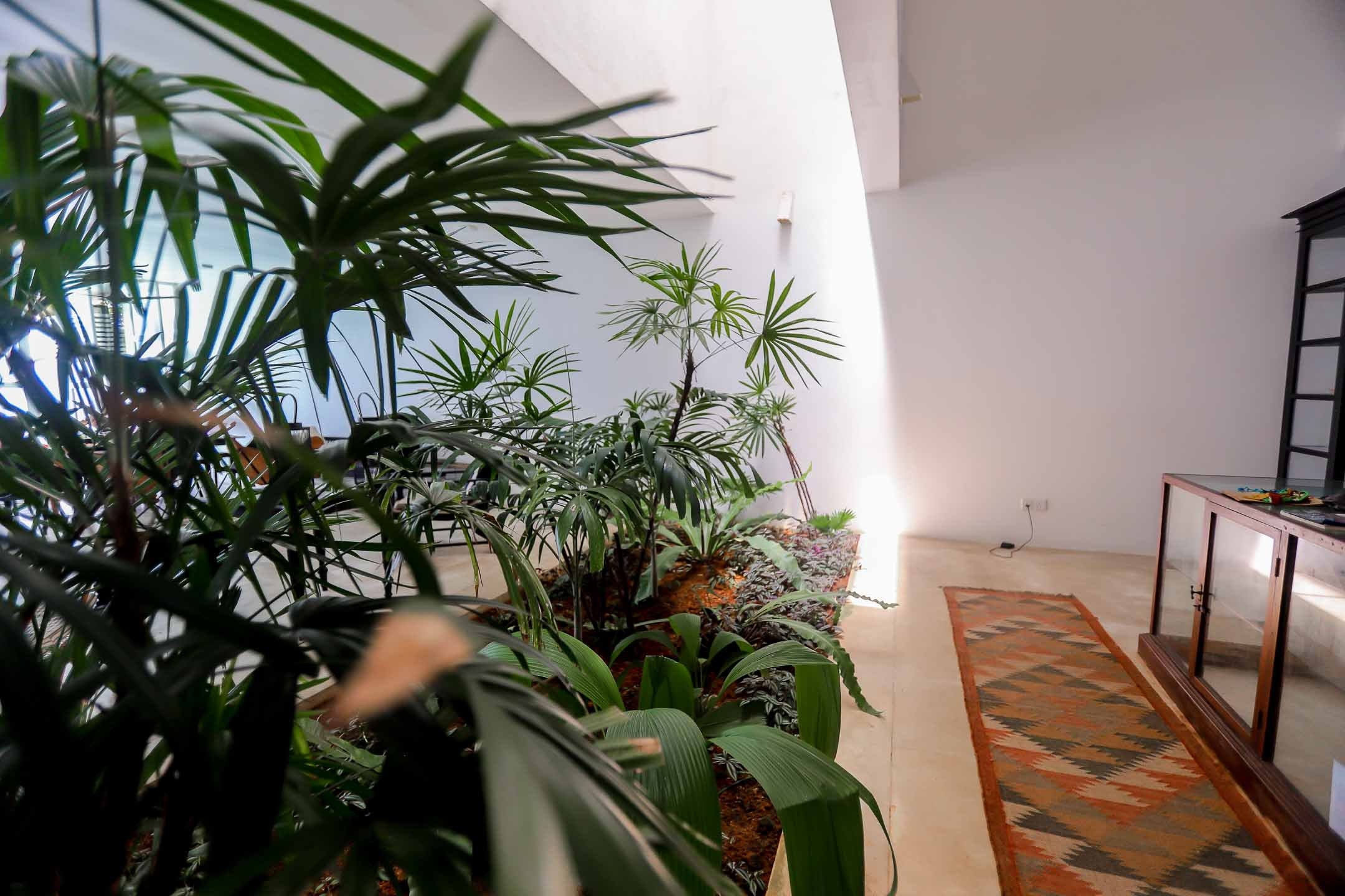 Отель пляж Хабарадува. Фотограф на Шри-Ланке