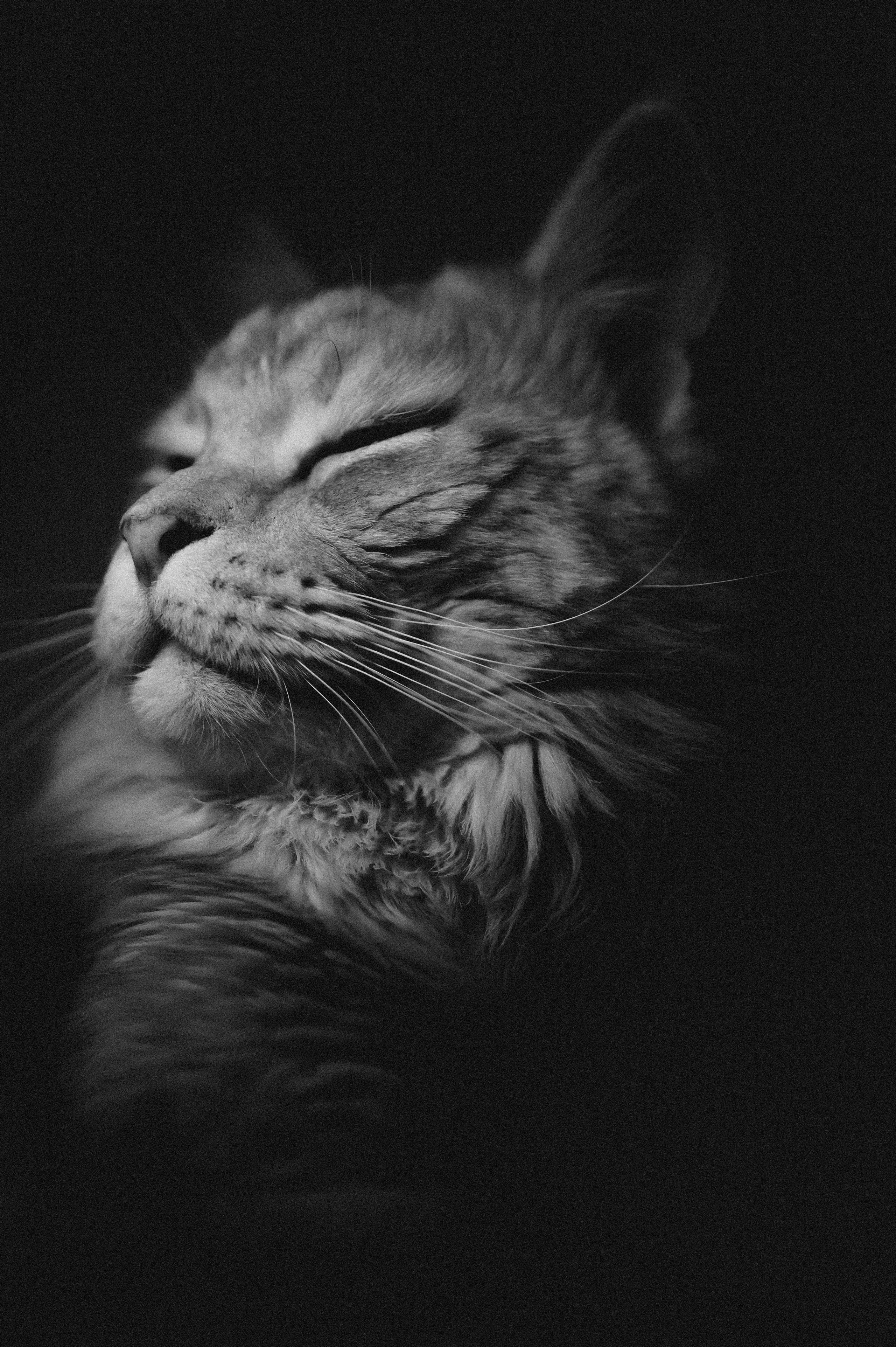 Jpg. Портретный и репортажный фотограф в Санкт-Петербурге